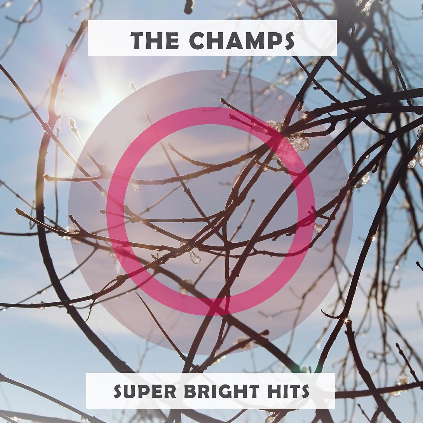 The Champs - Midnighter
