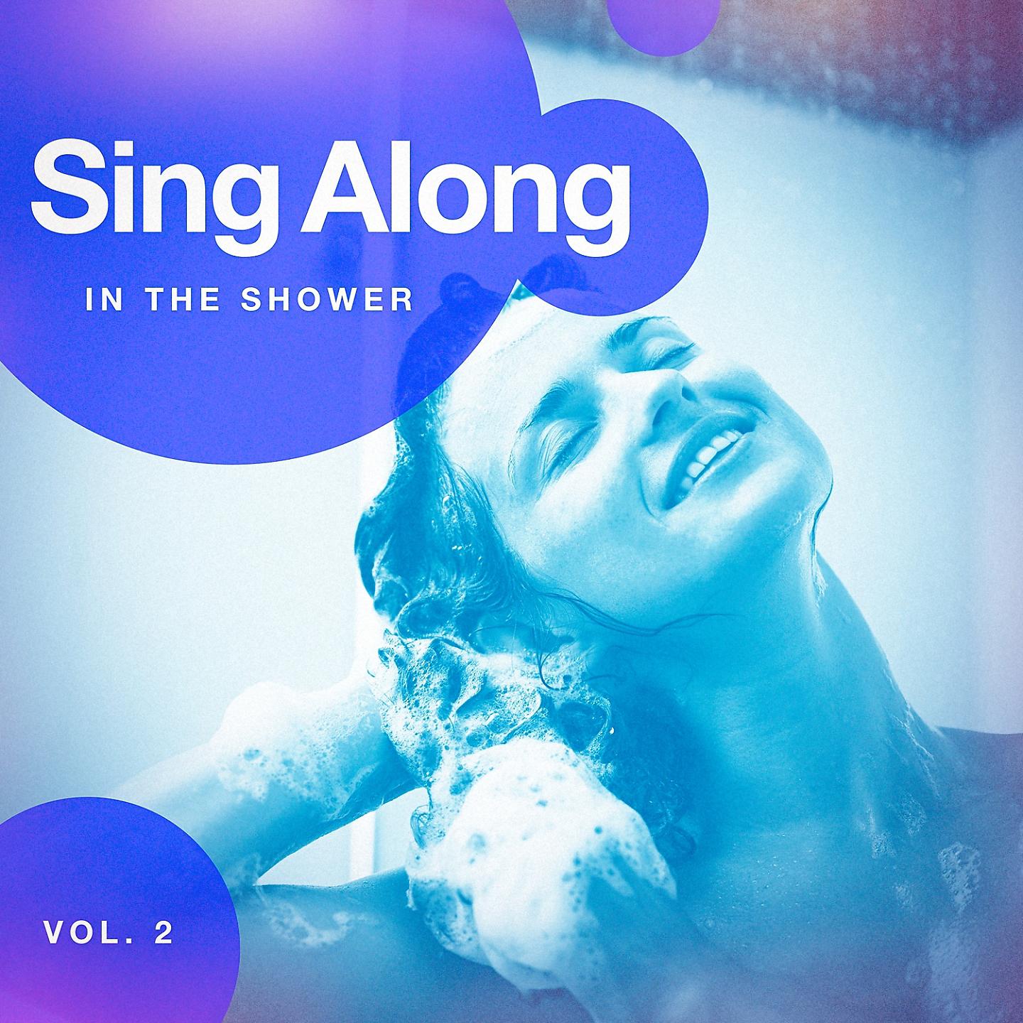 Постер альбома Sing Along in the Shower, Vol. 2