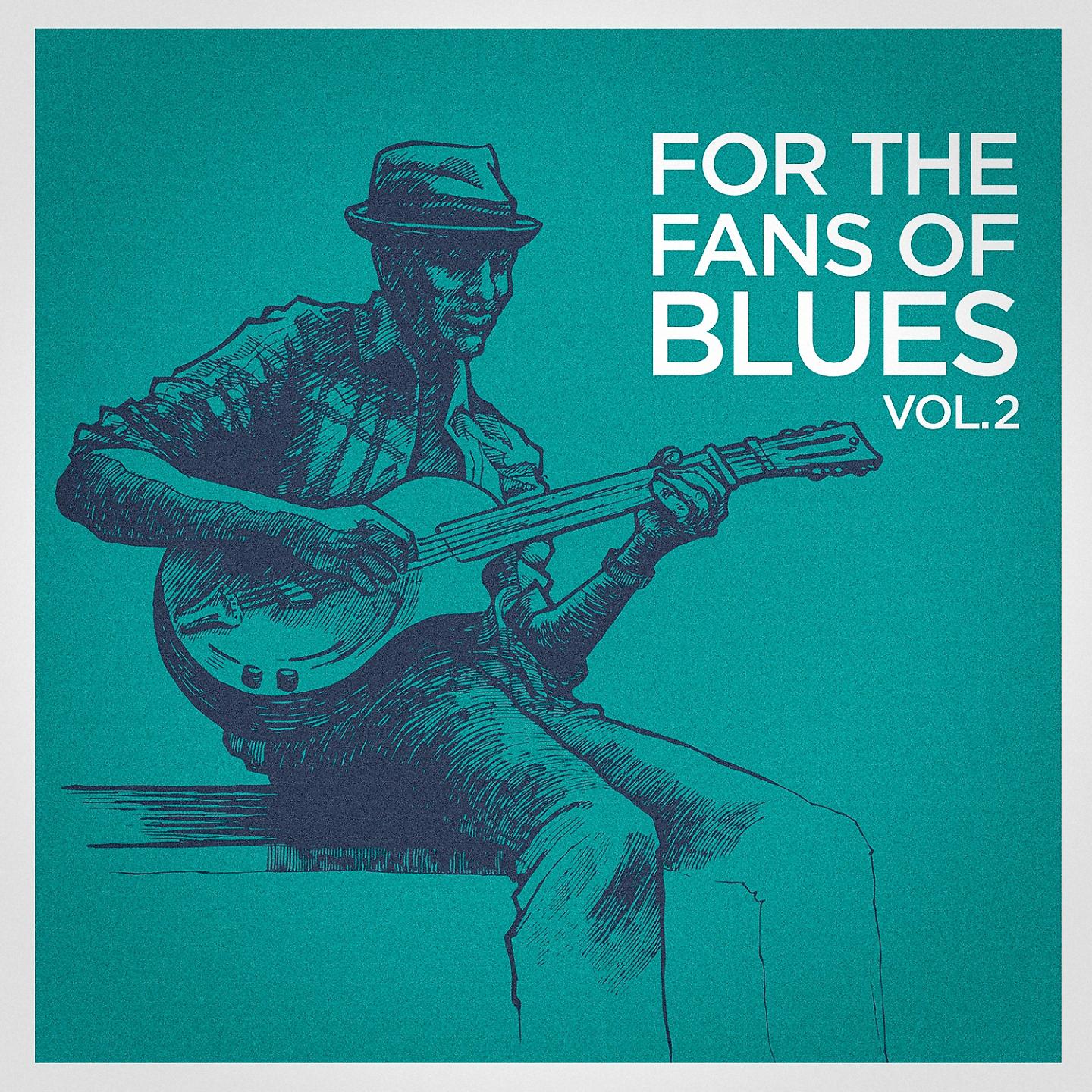 Постер альбома For the Fans of Blues, Vol. 2
