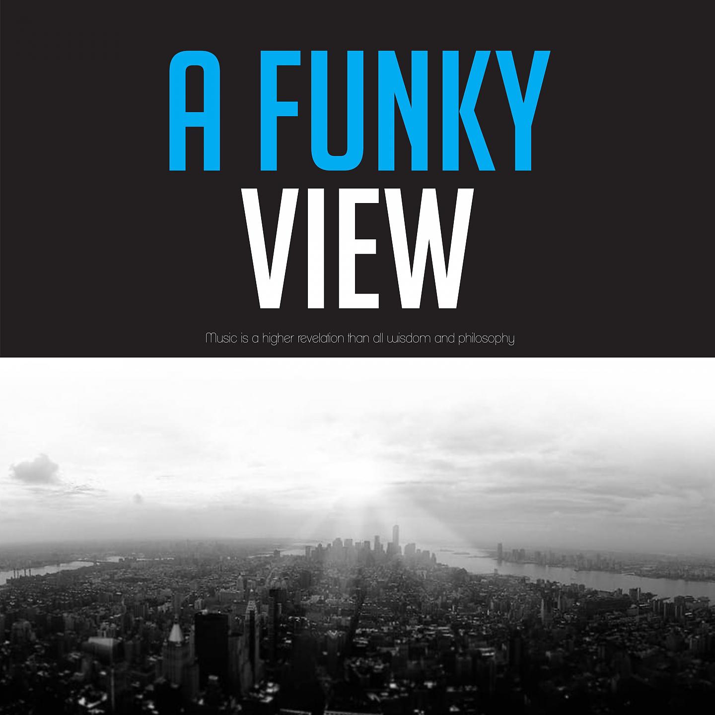 Постер альбома A Funky View