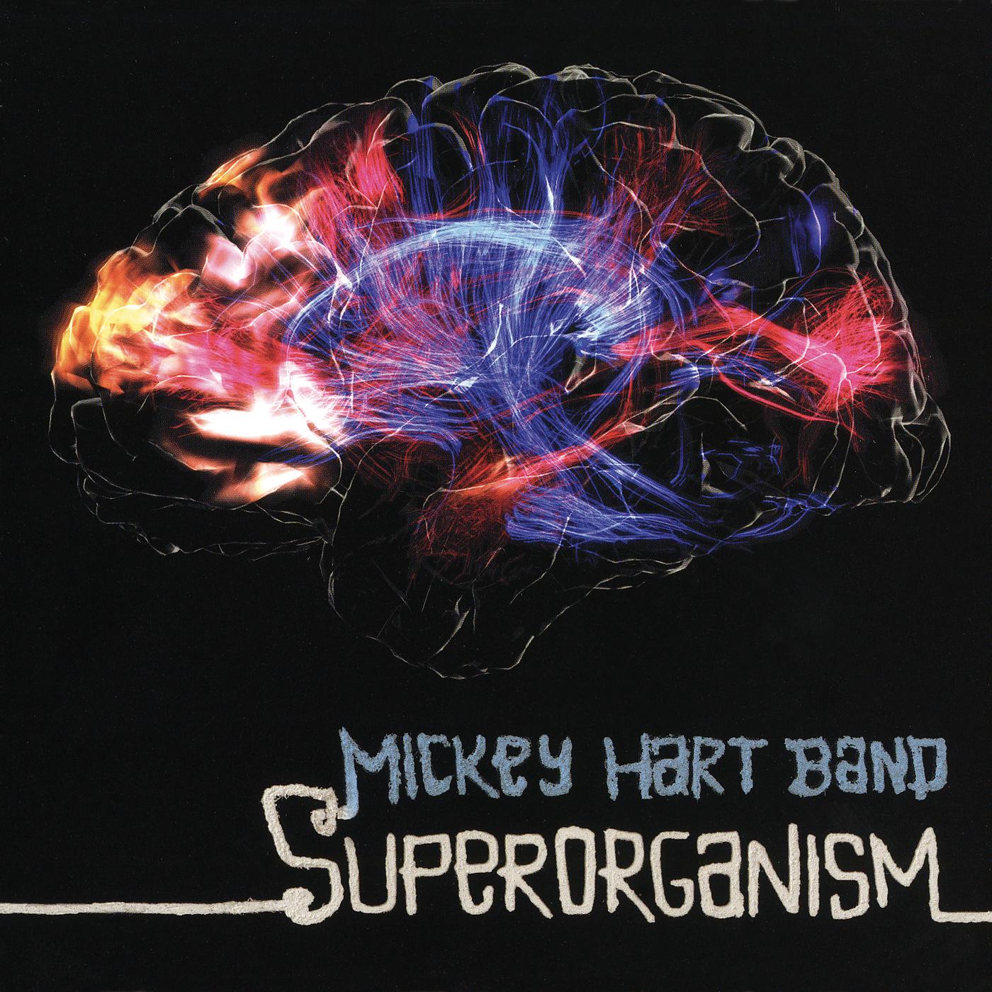 Постер альбома Superorganism