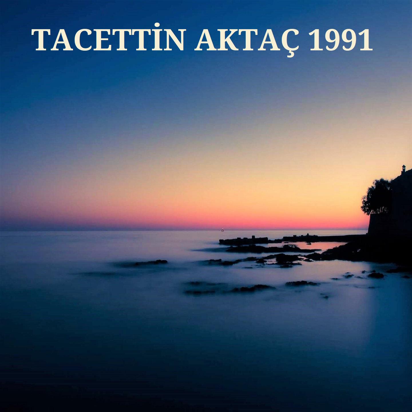 Постер альбома Tacettin Aktaç 1991