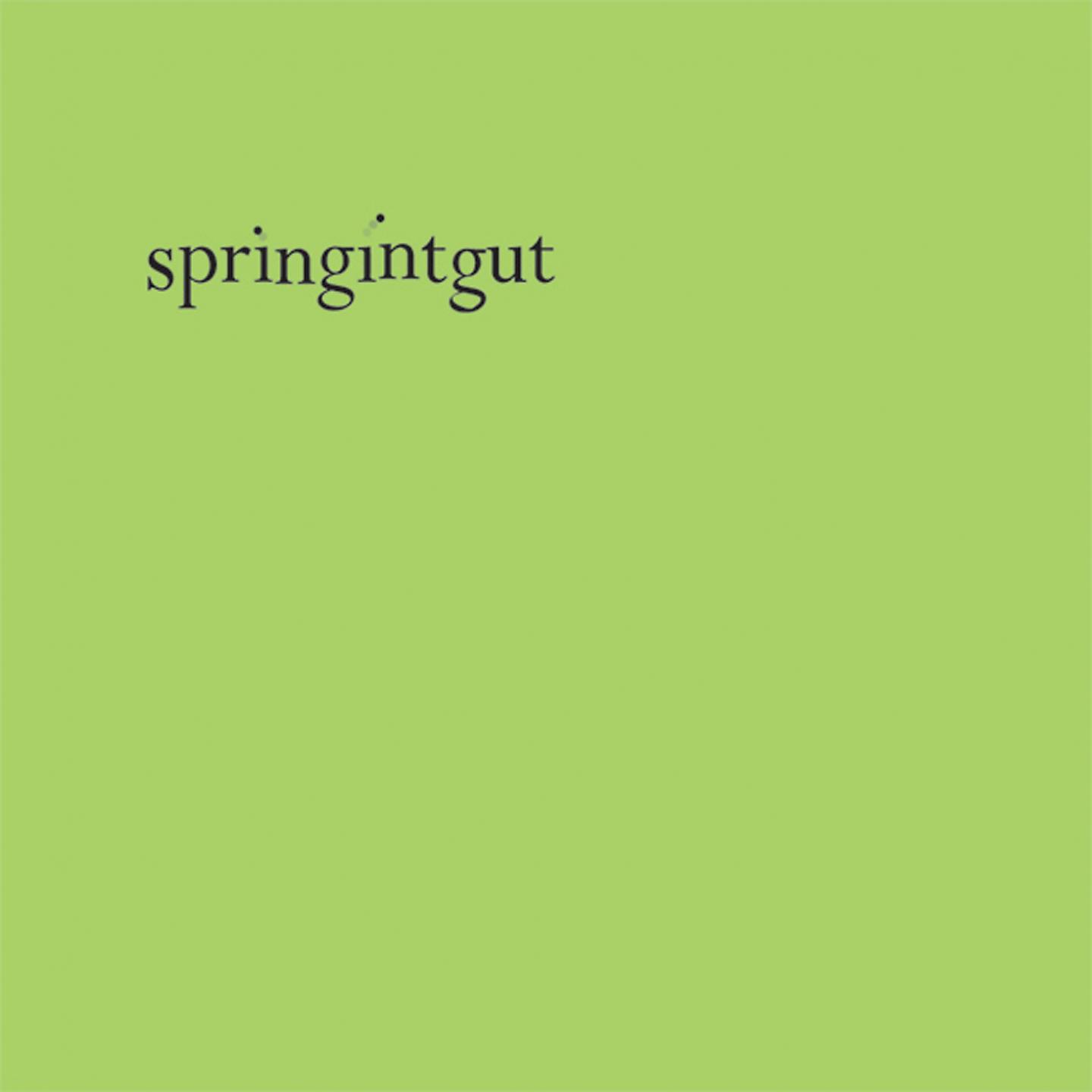 Постер альбома Springintgut