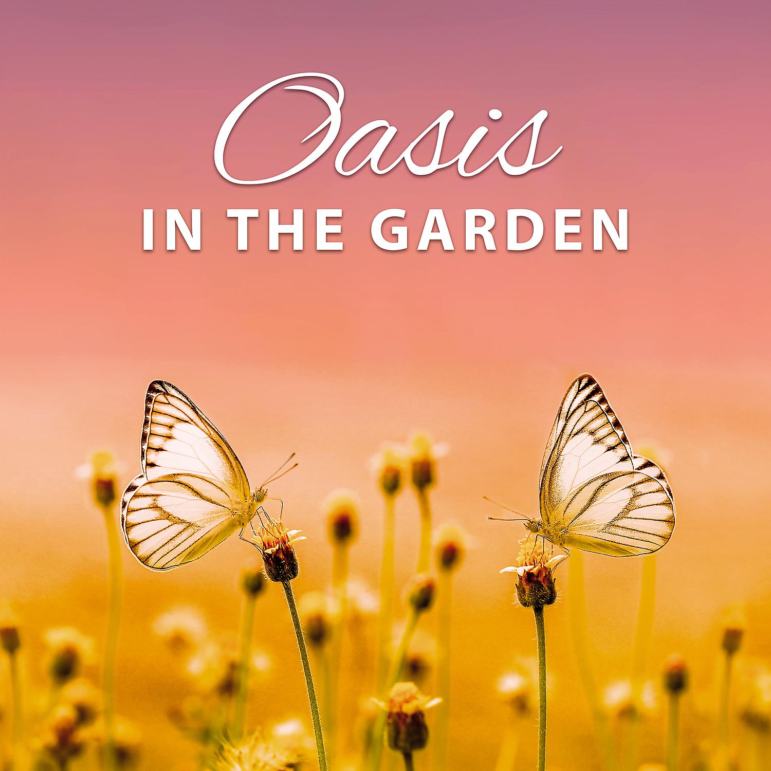 Постер альбома Oasis in the Garden - Opportunity to Calming Thoughts, Time Harmonie, Equilibrium Thinking, Language Learning, Wonder Sounds Water