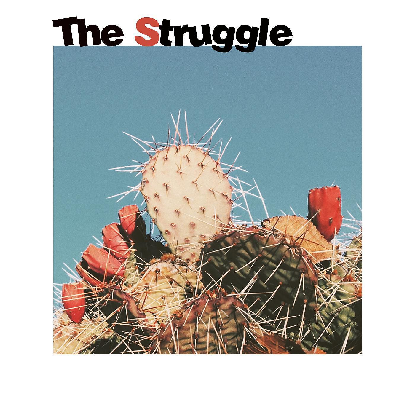 Постер альбома The Struggle (feat. Nico Marks)