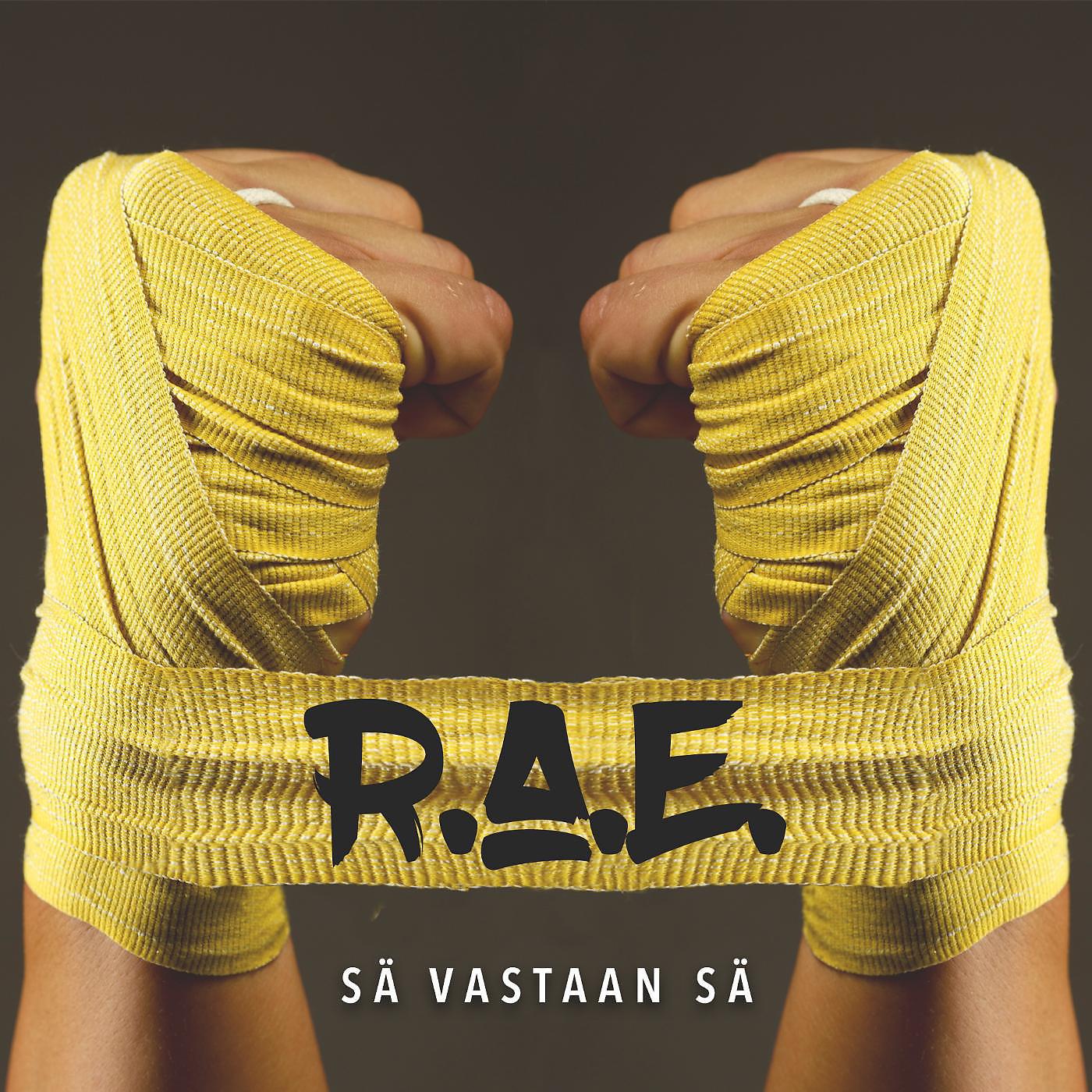 Постер альбома Sä Vastaan Sä