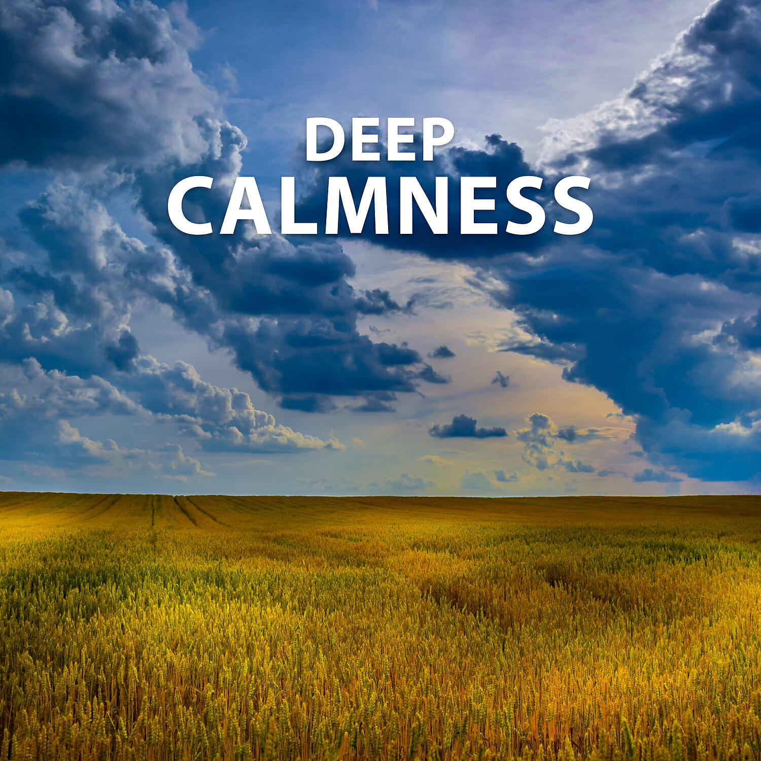 Healing Sounds for Deep Sleep and Relaxation - Peaceful Rain