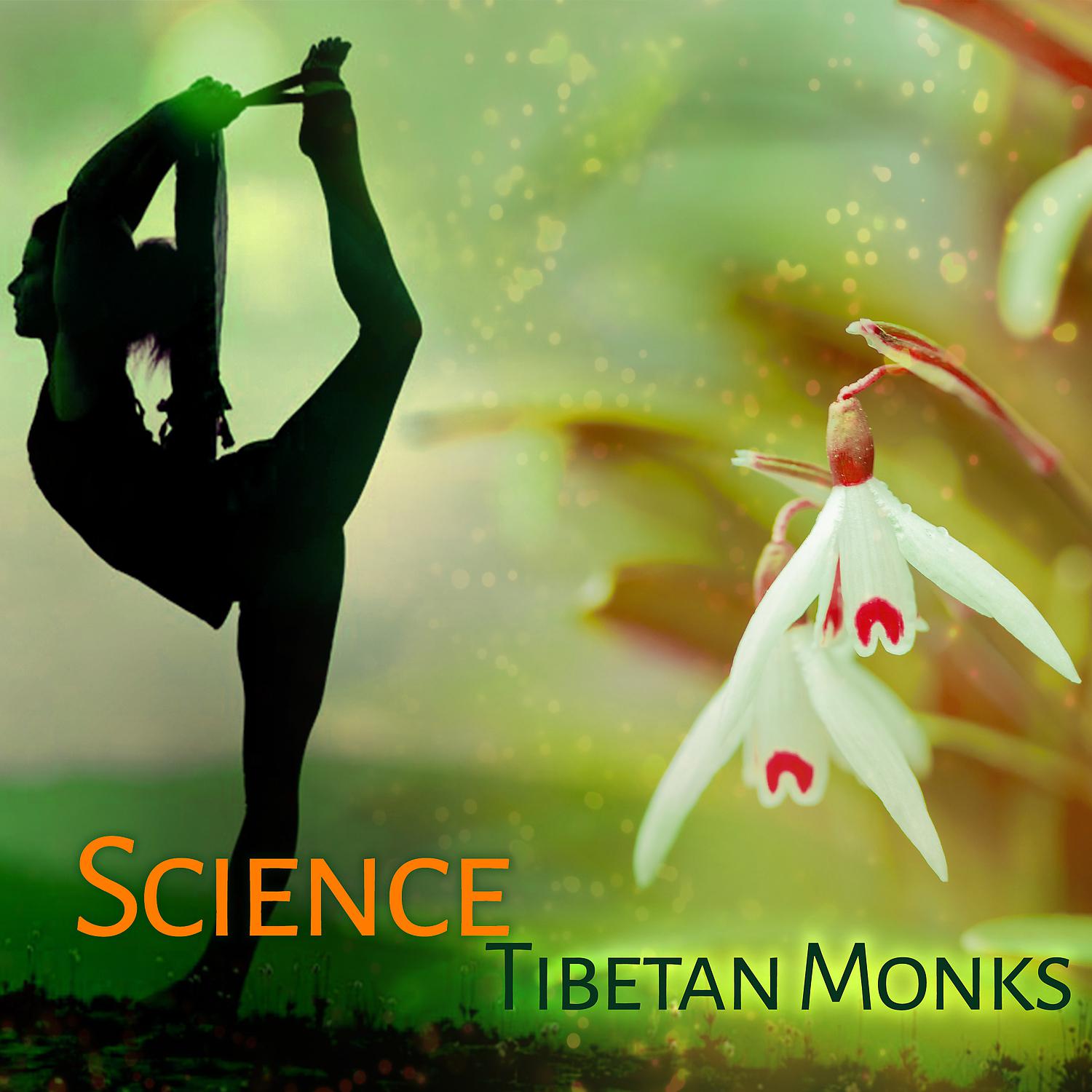 Постер альбома Science Tibetan Monks - Evening Meeting with the Buddha, Wonderful Cleansing, Cool Way to Fight with Stress, Balance and Harmony, Connection Jing and Jang