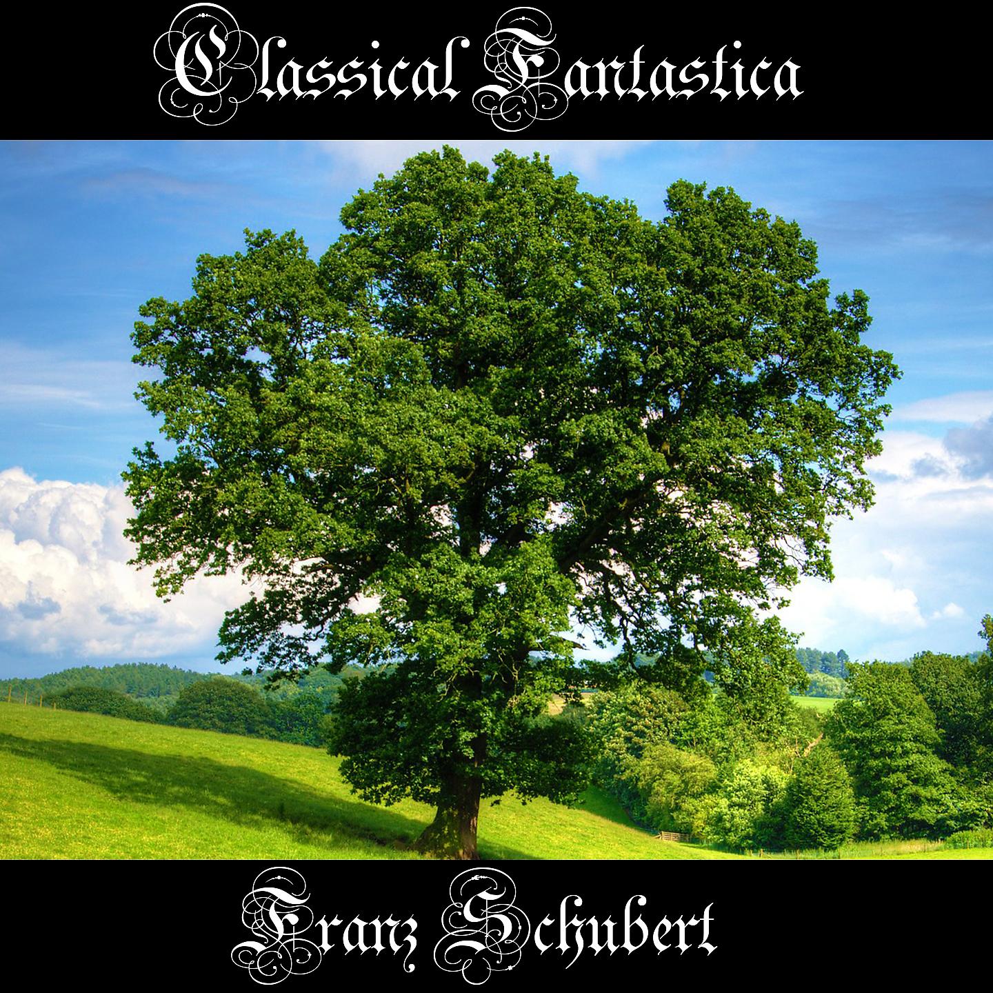 Franz Schubert - Sonata in A major, D- 959 in F-Sharp Minor, D959 II- Andantino