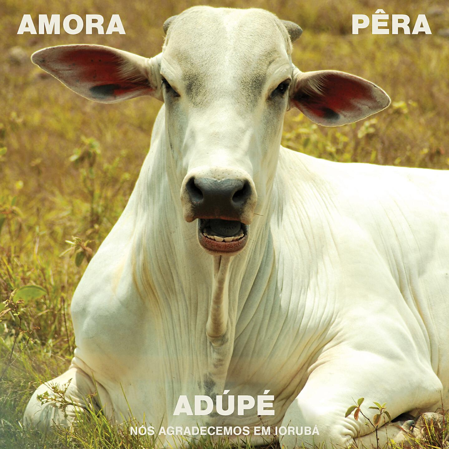 Amora Pêra - Playground