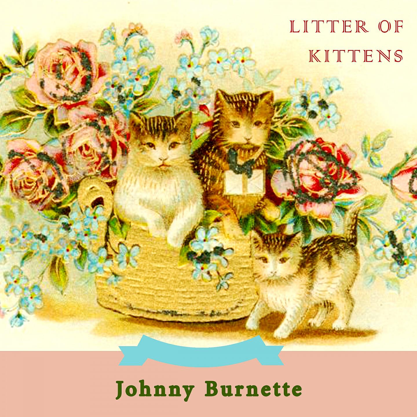 Johnny Burnette - Big Big World