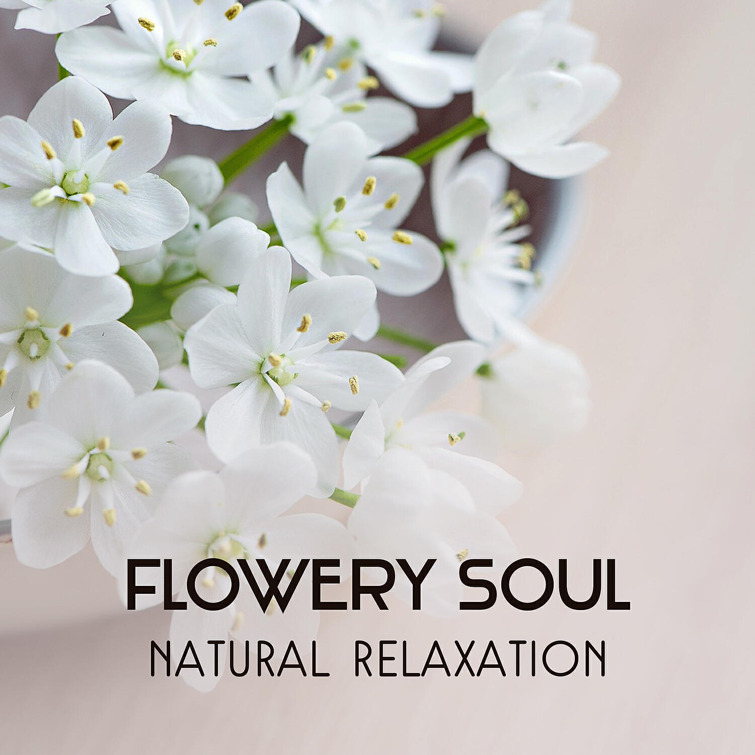 Natural Balance Zone - Find Your Tranquil Sanctuary
