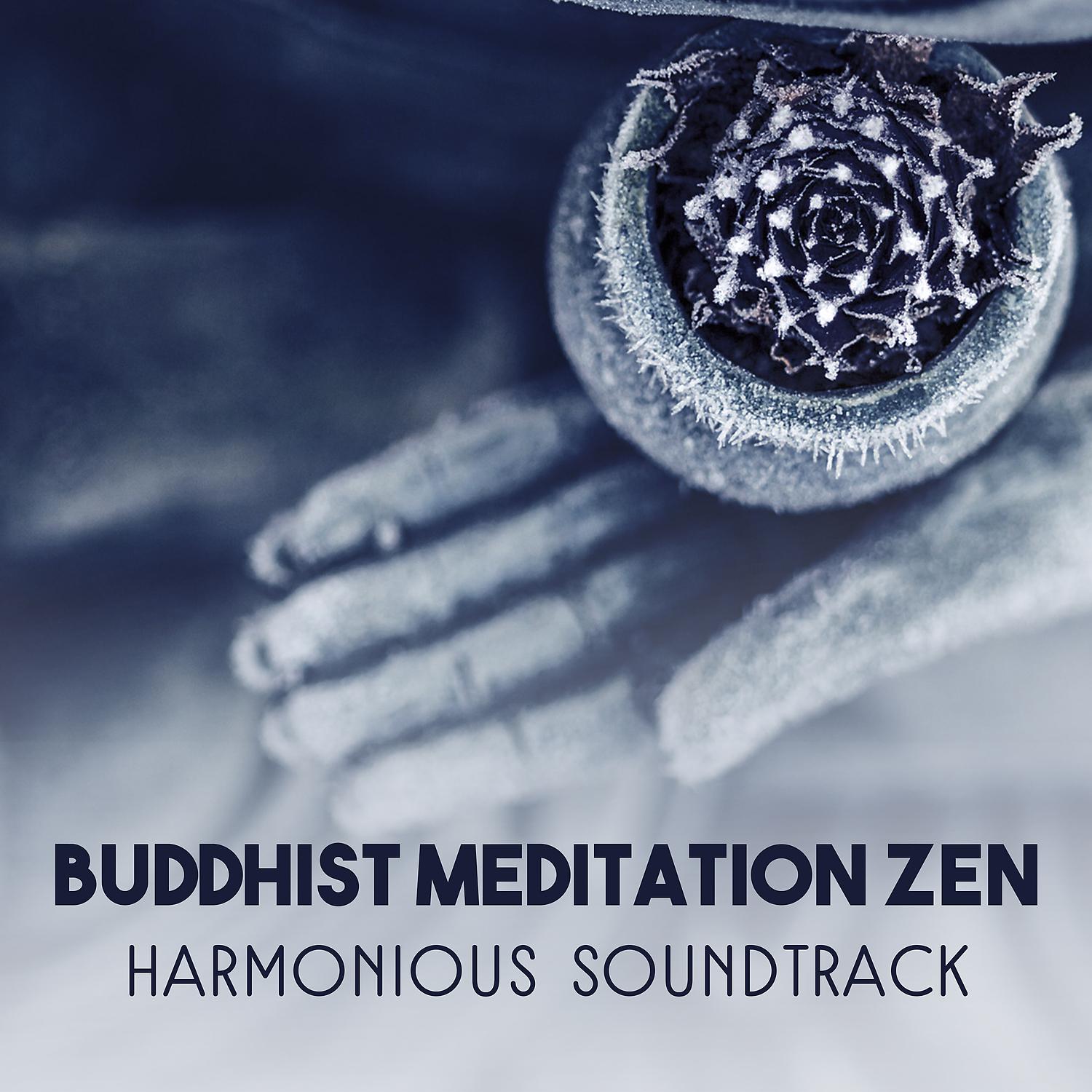 Постер альбома Buddhist Meditation Zen - Harmonious Soundtrack, Tranquility Space with Energy Balance, Boost Stability, Deep Zen Ambient, Om Chanting, Spiritual Connection
