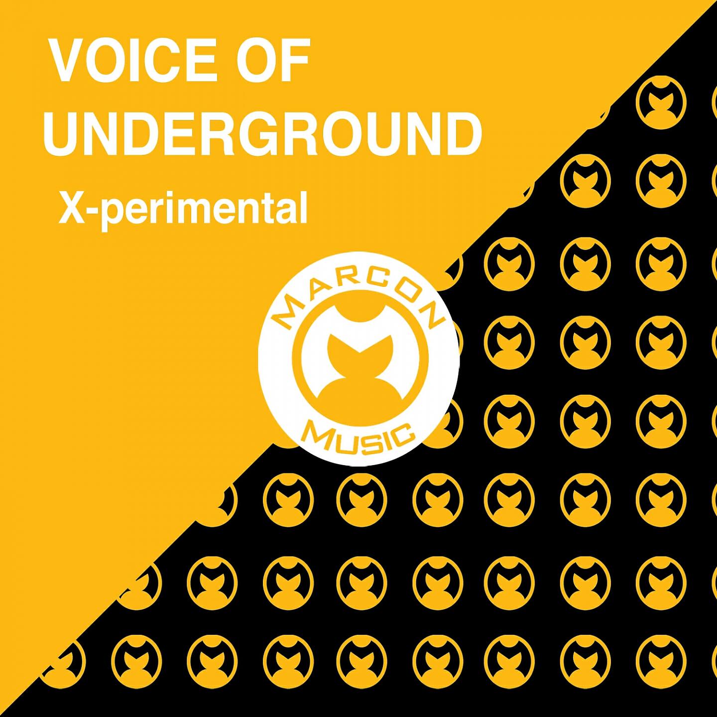Voice Of Undergroundo - Love Won't Let You Down (D.J.Mickey B Mix)