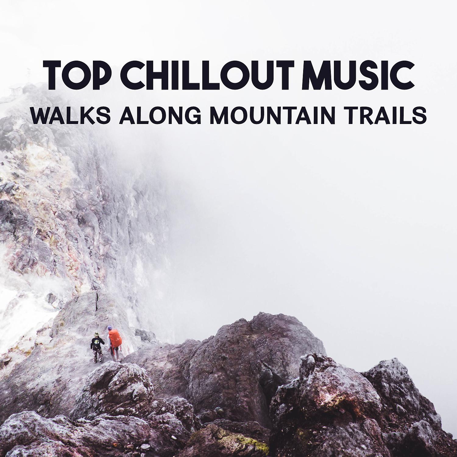 Постер альбома Top Chillout Music - Walks Along Mountain Trails, Relaxation in Fresh Air, Cool Down, Electronic Music for Power Walking, Stay in Shape