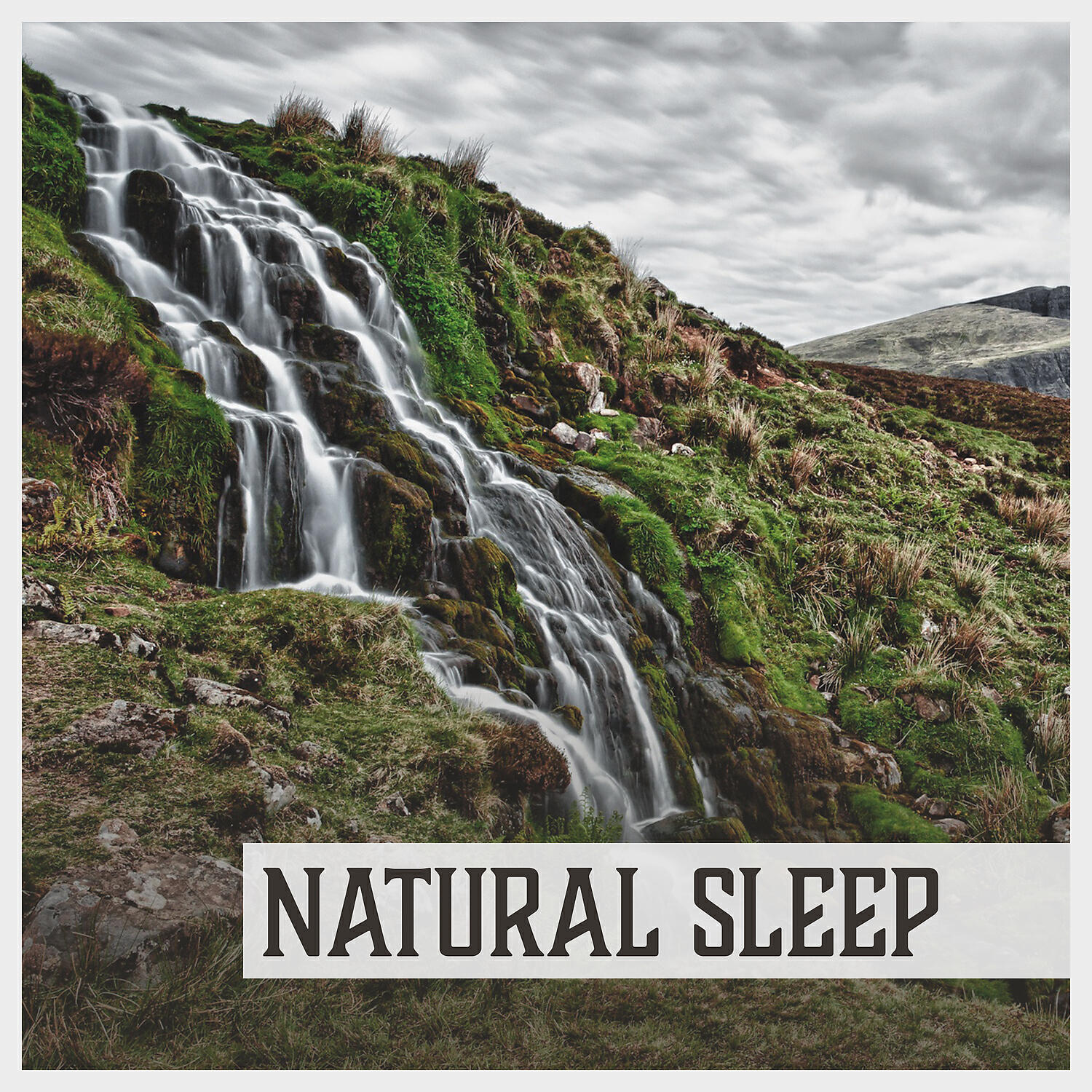 Insomnia Cure Music Society - Night Harmony