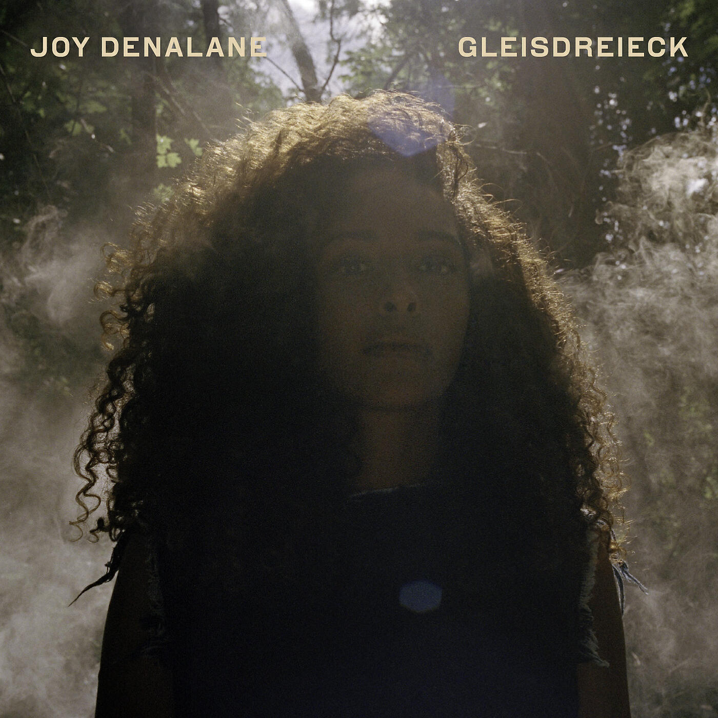 Joy Denalane - So sieht man sich wieder