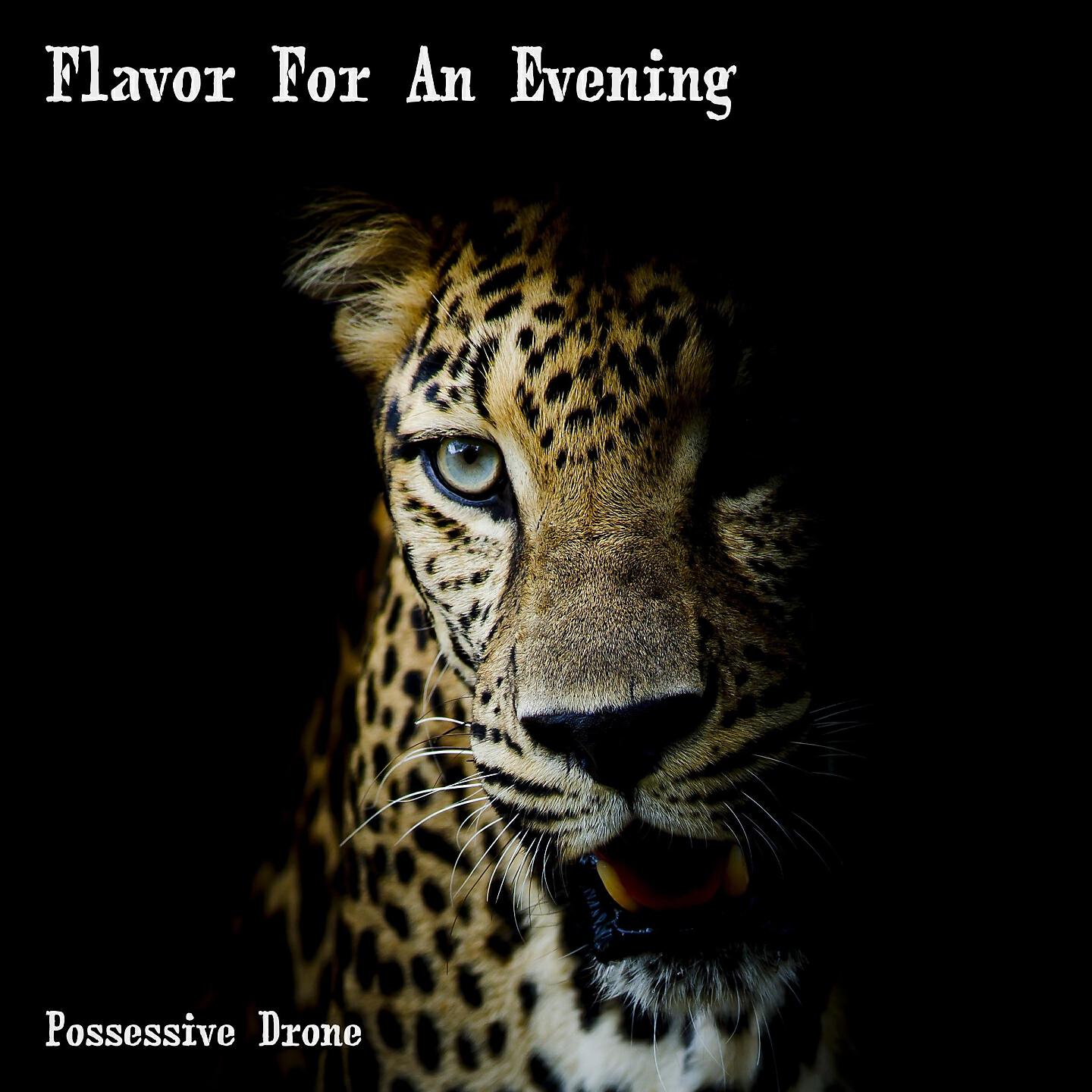 Possessive Drone - Life Of A Cheater