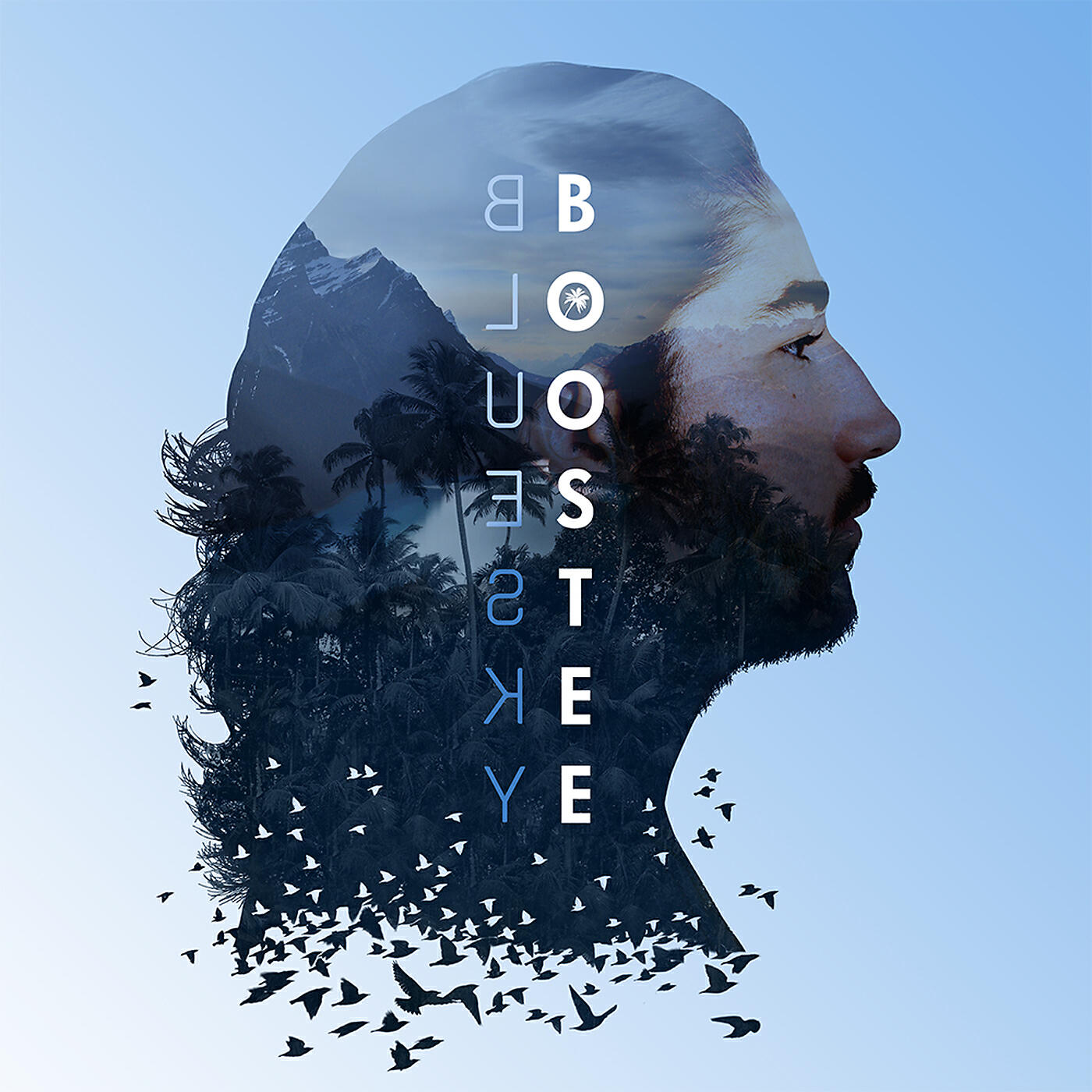 Boostee - Regard