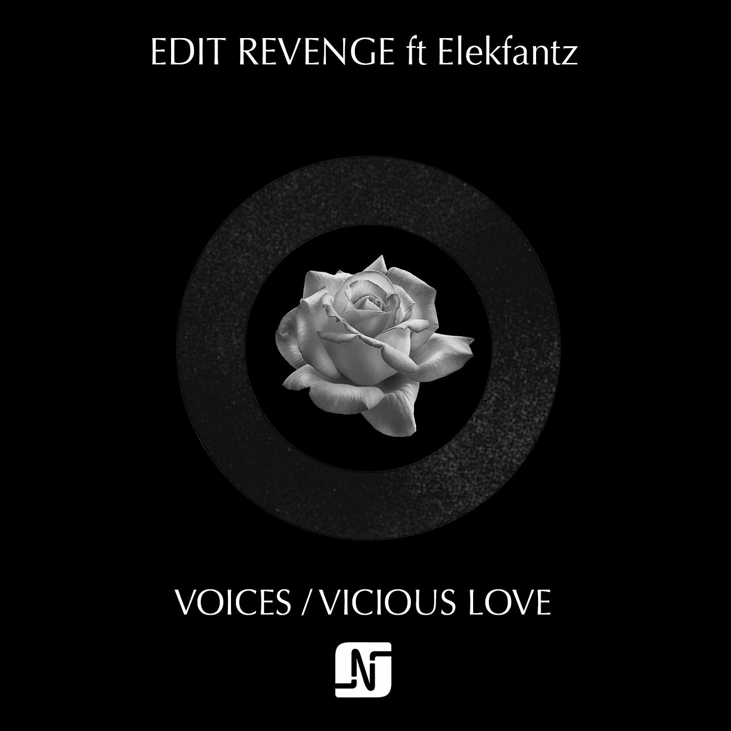 Постер альбома Voices / Vicious Love
