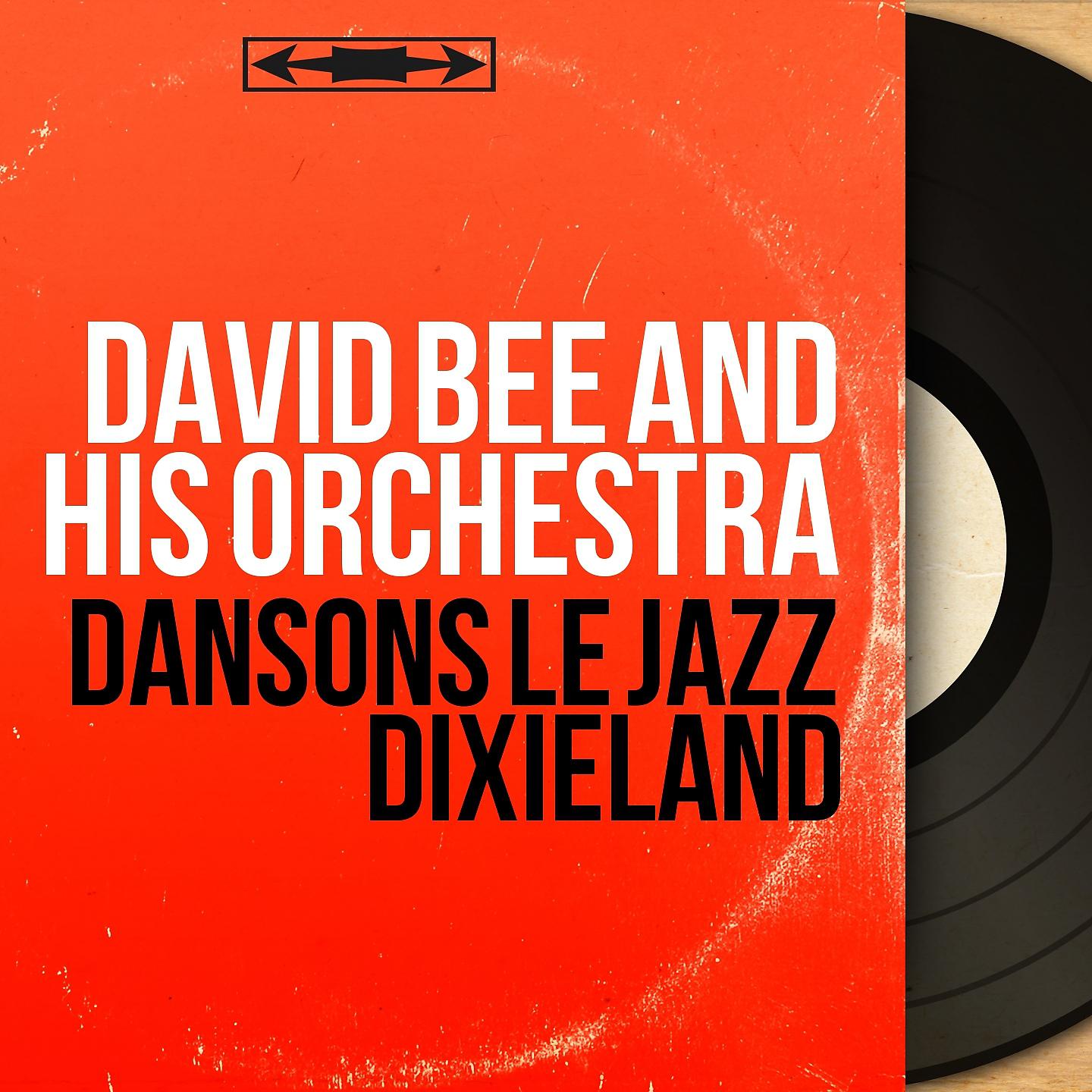Постер альбома Dansons le jazz dixieland