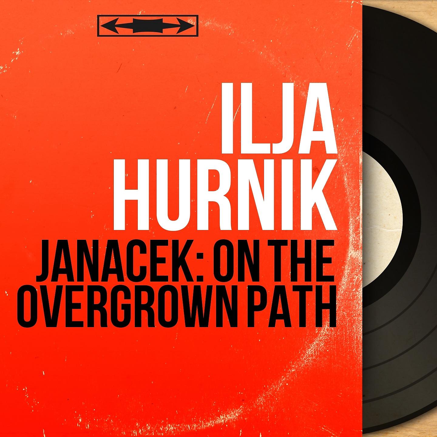 Постер альбома Janáček: On the Overgrown Path