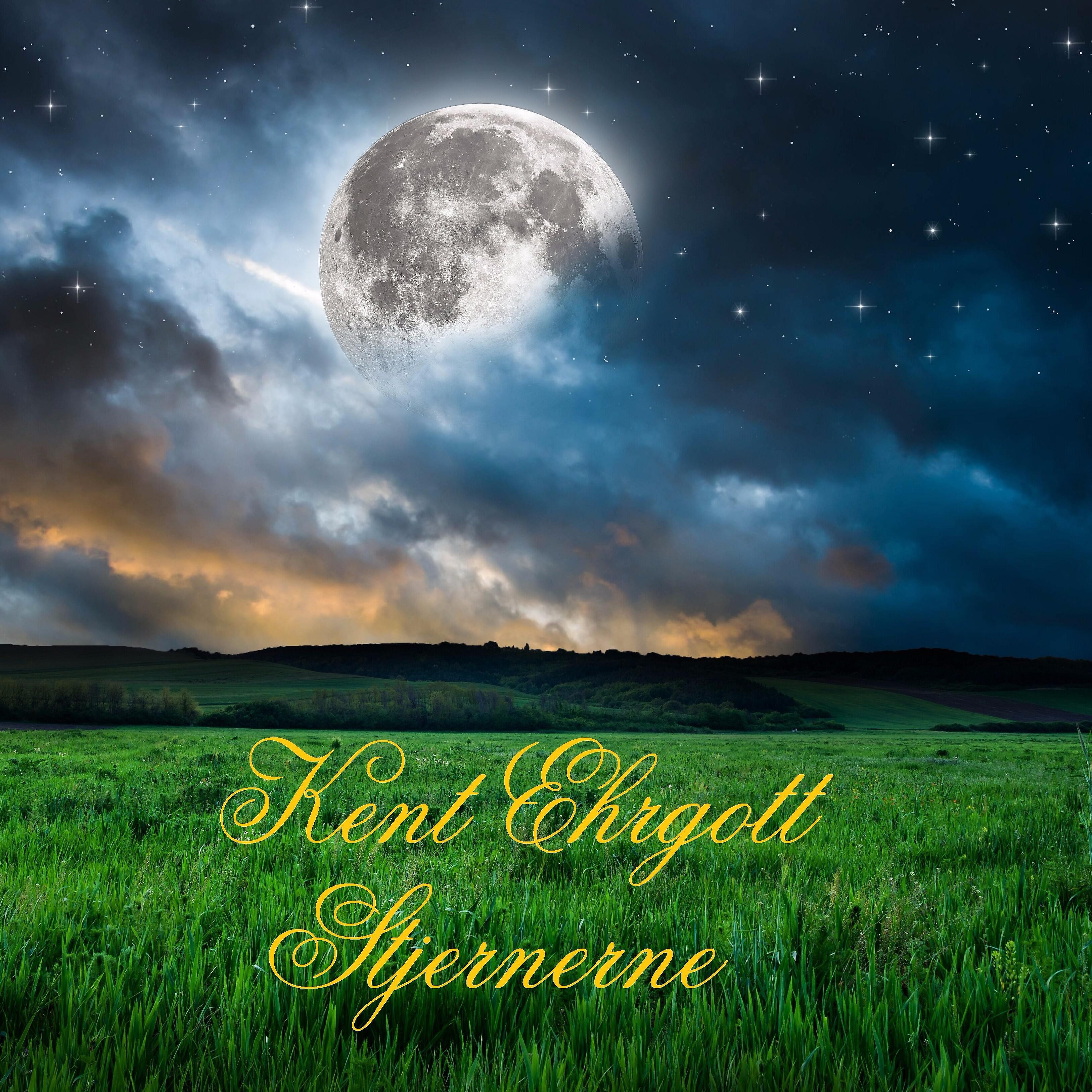 Kent Ehrgott - Nattehimlens Stjerner