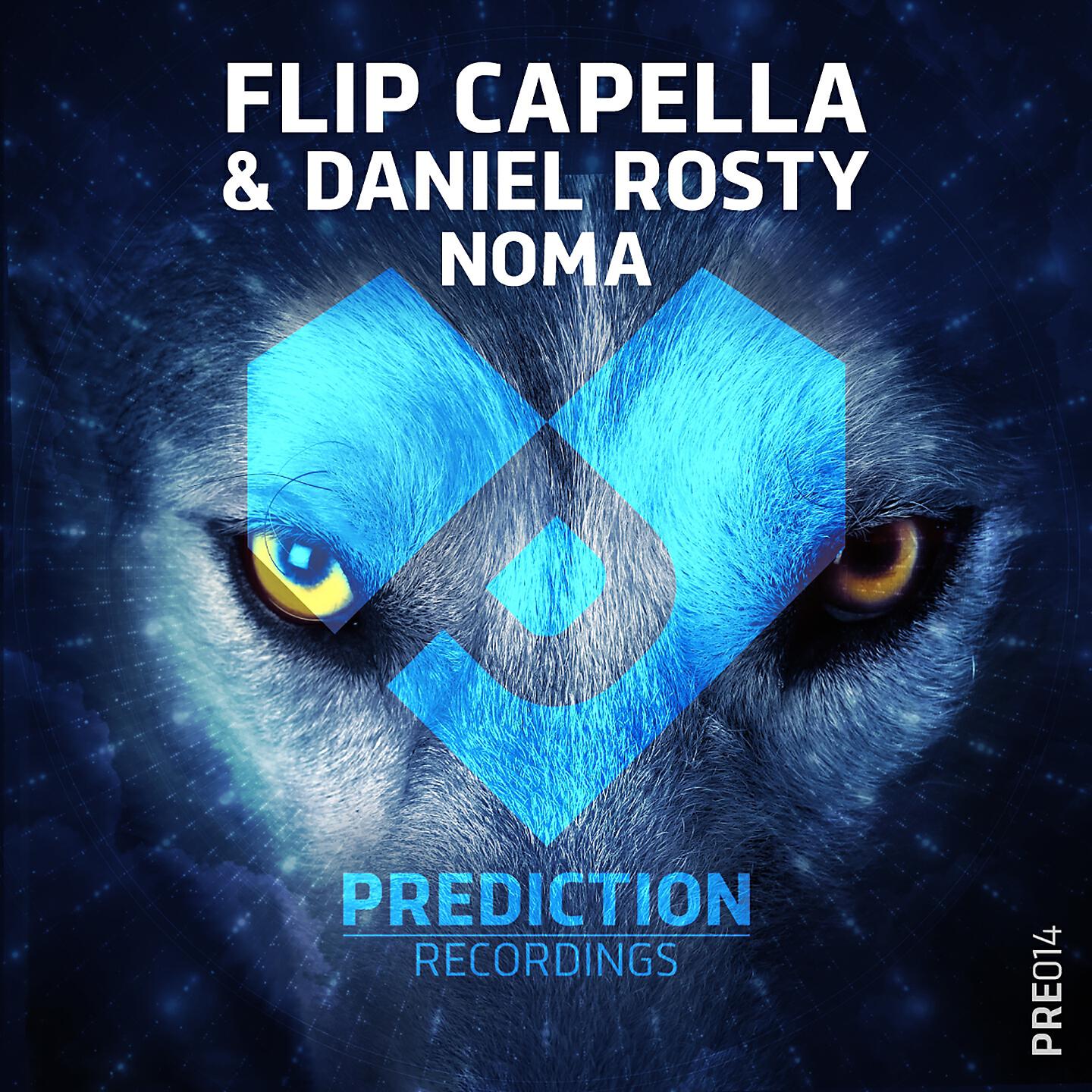 Flip Capella - Noma (Extended Mix)