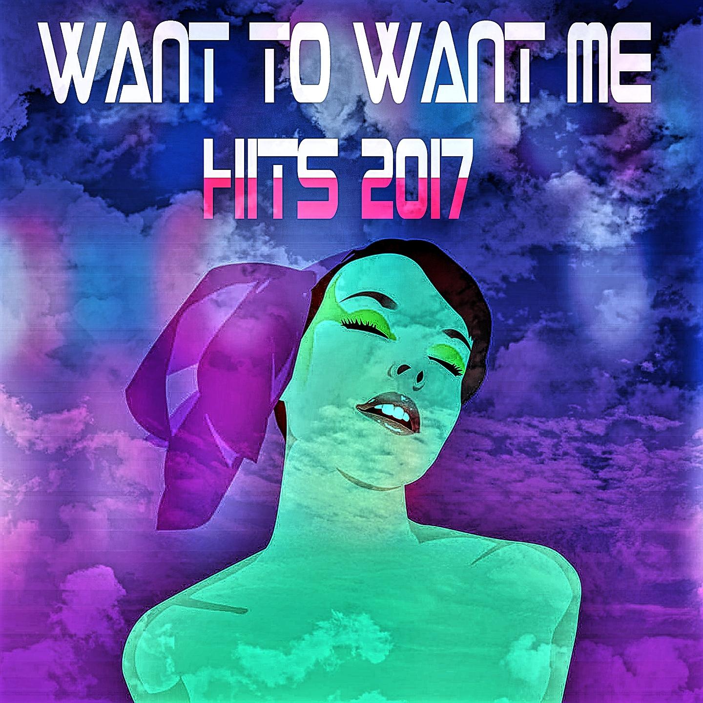 Постер альбома Want to Want Me Hits 2017