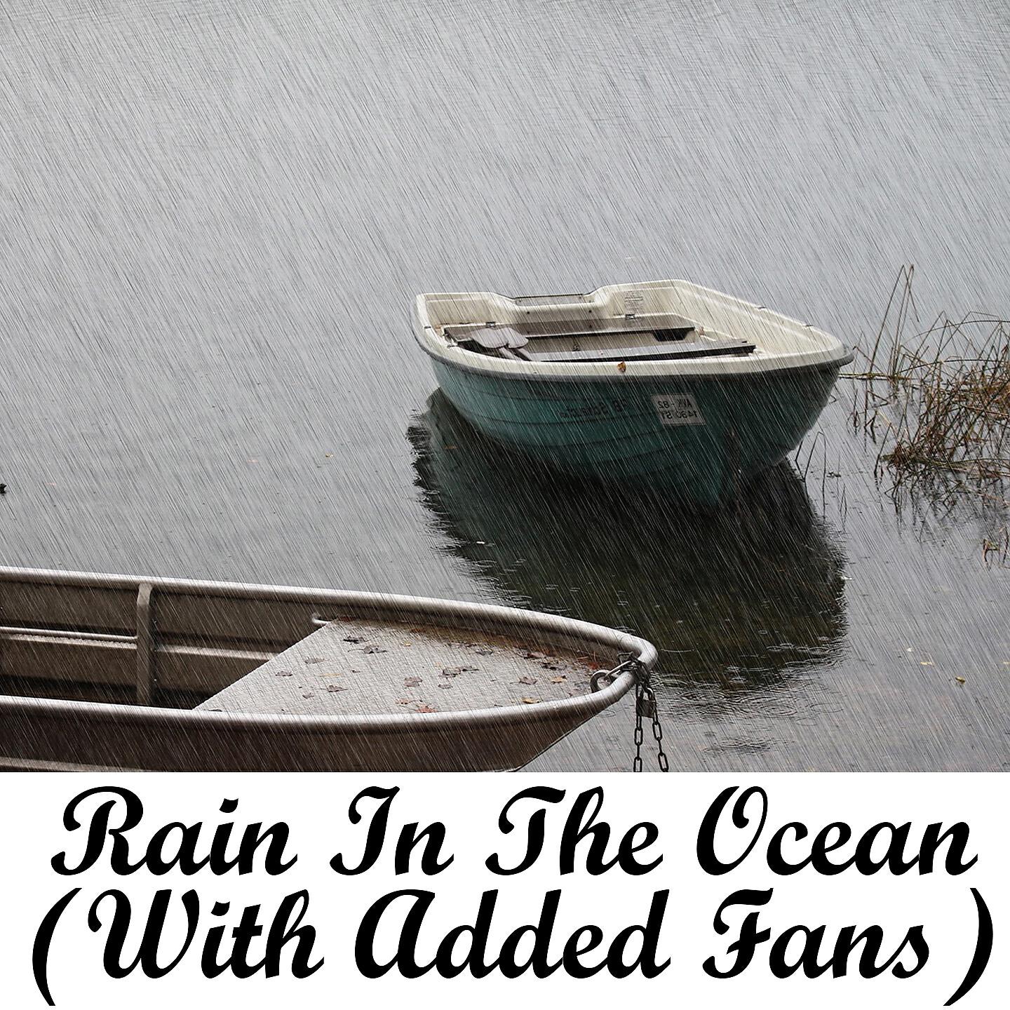 Rain Sounds & White Noise - Water On The Leaves