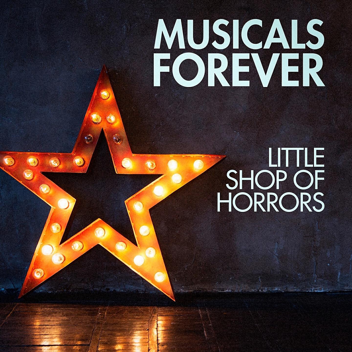 Musicals Forever Ensemble - Finale (Don't Feed the Plants)