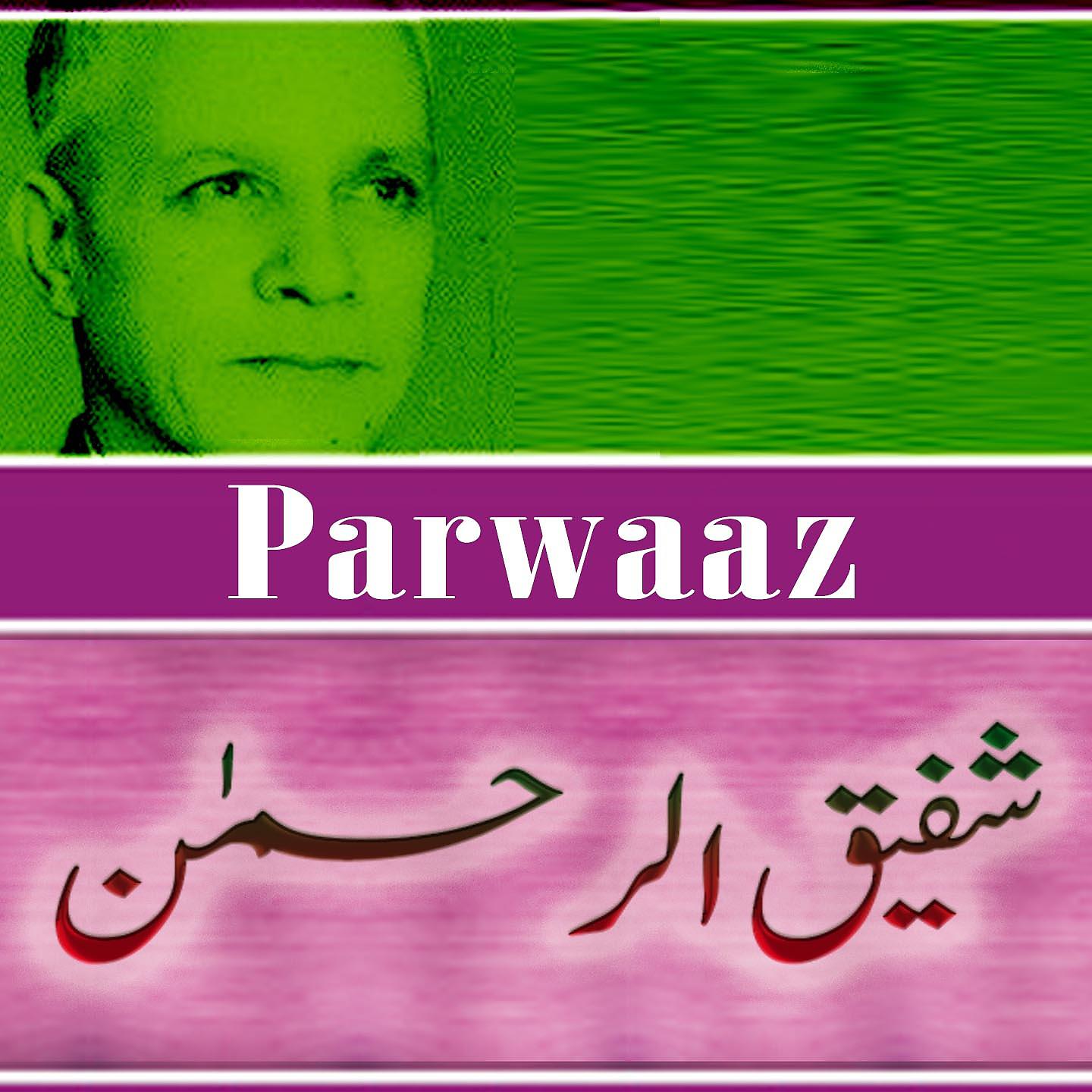Постер альбома Parwaaz