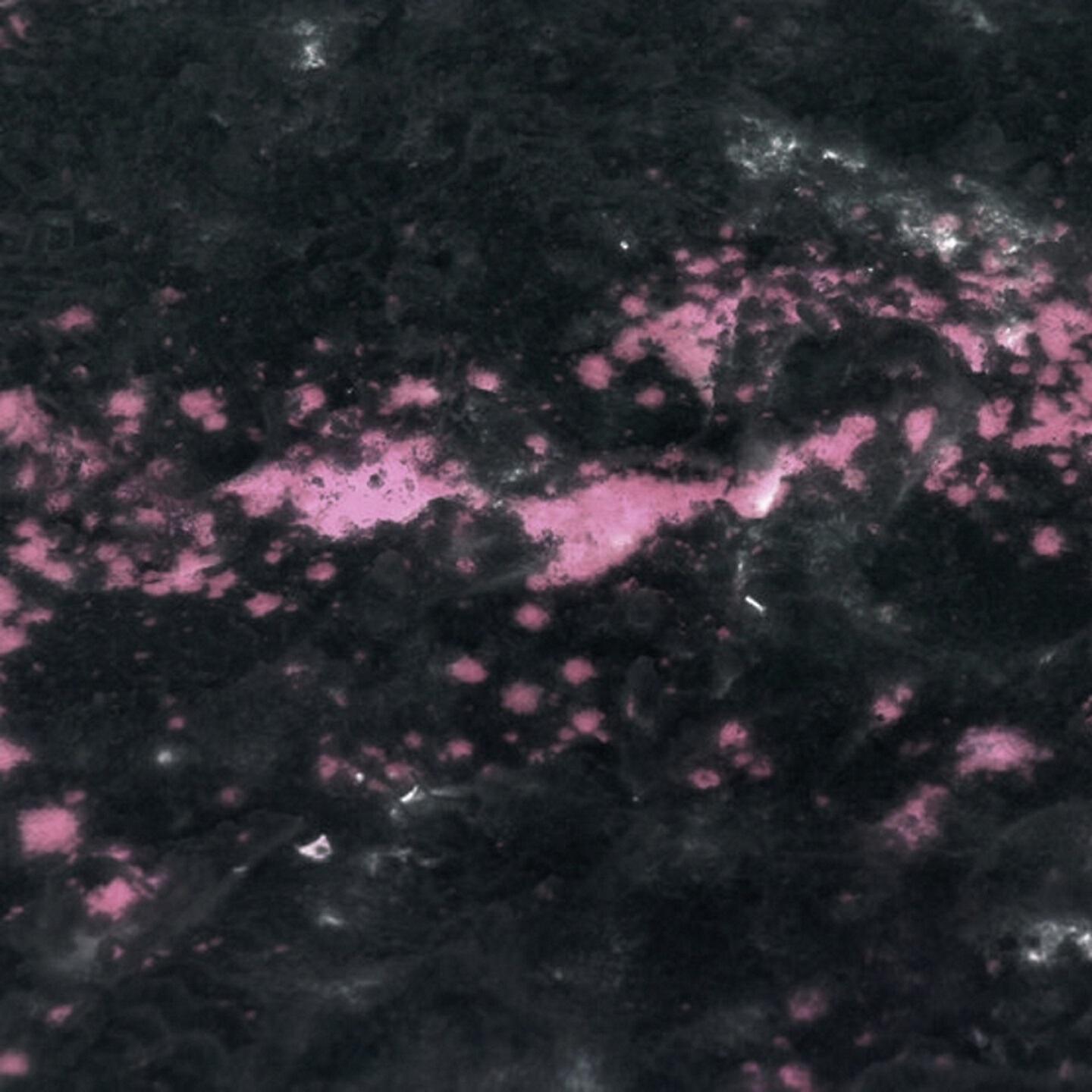 Cheney Weird - Clams Casino Is My Father