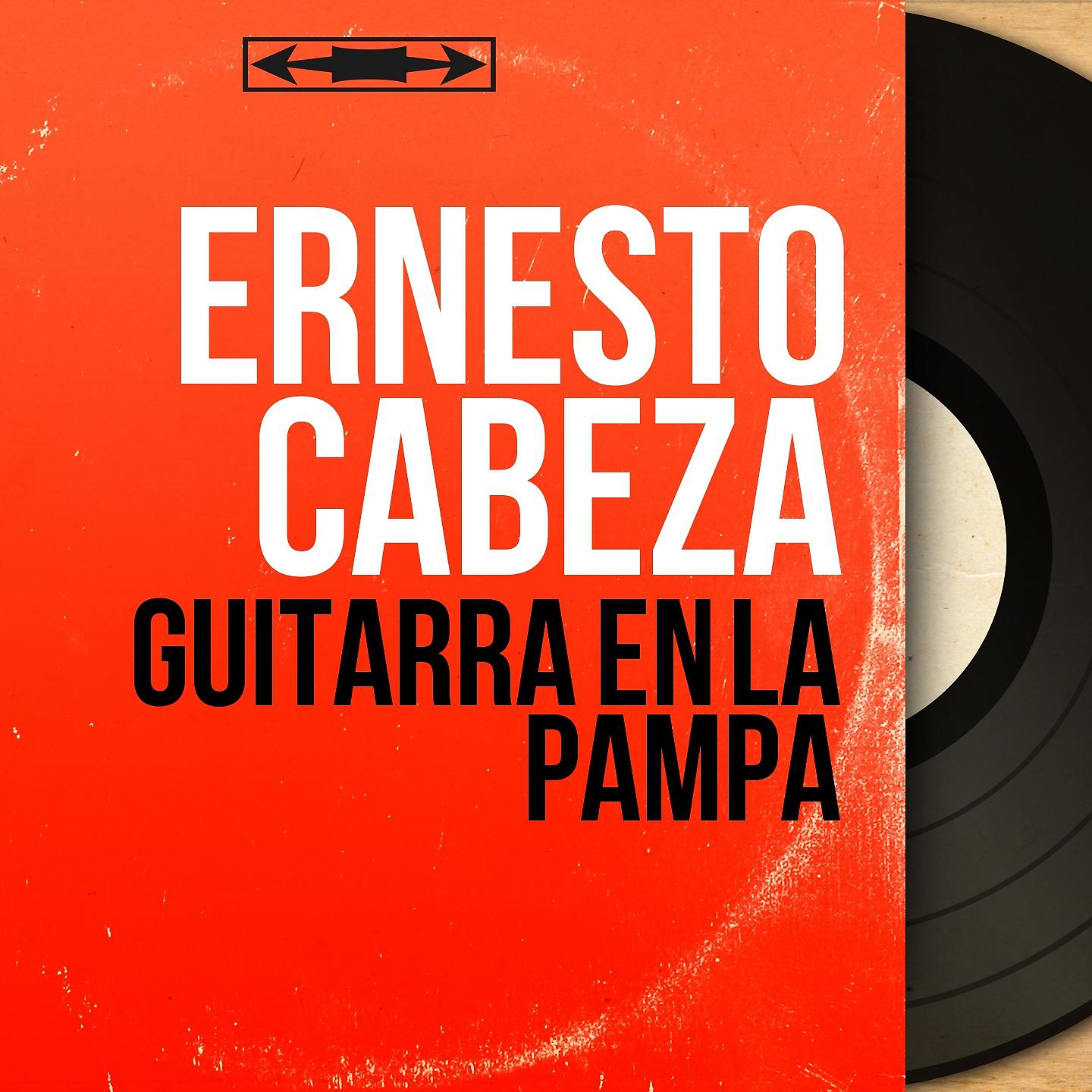 Постер альбома Guitarra en la Pampa