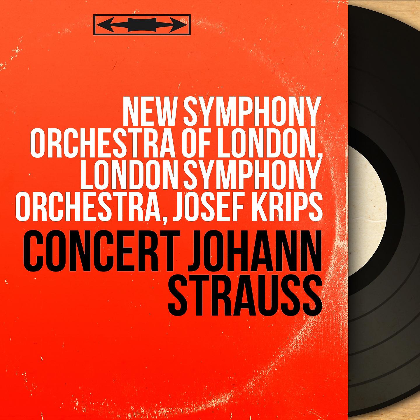 Постер альбома Concert Johann Strauss