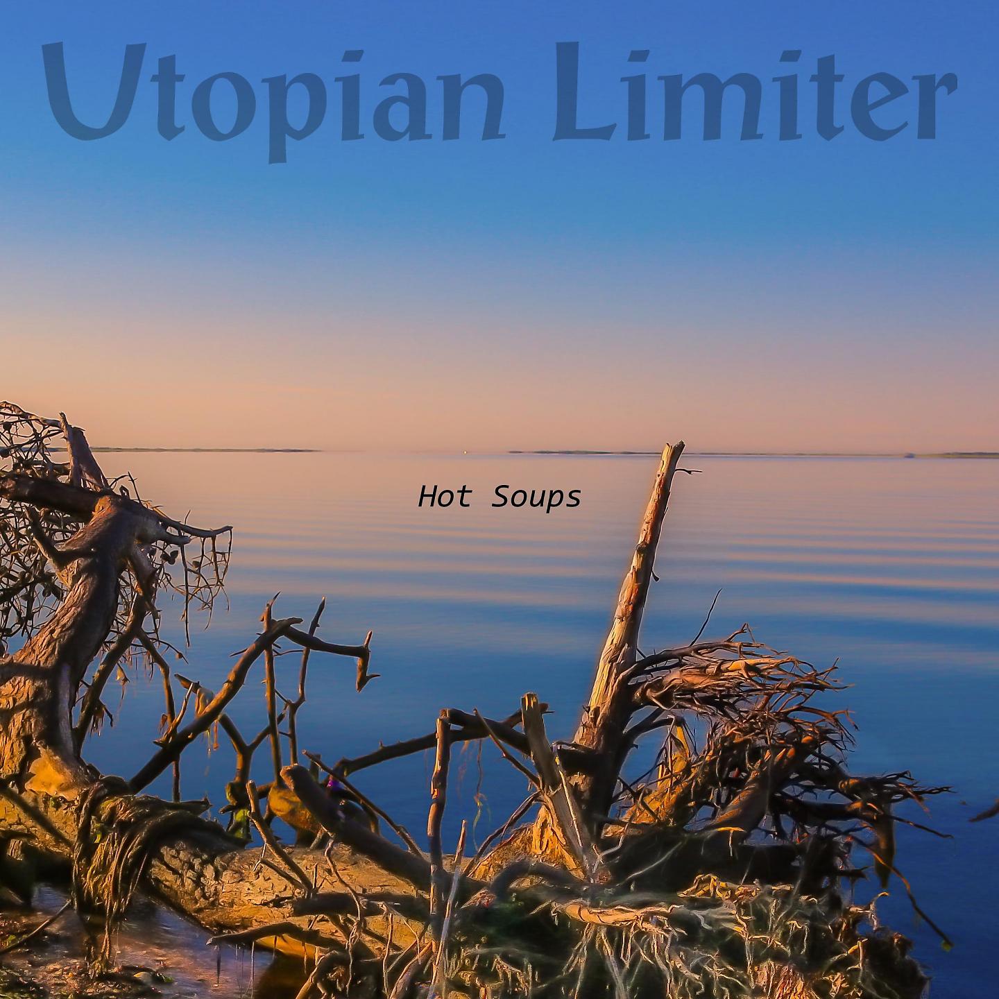 Постер альбома Utopian Limiter