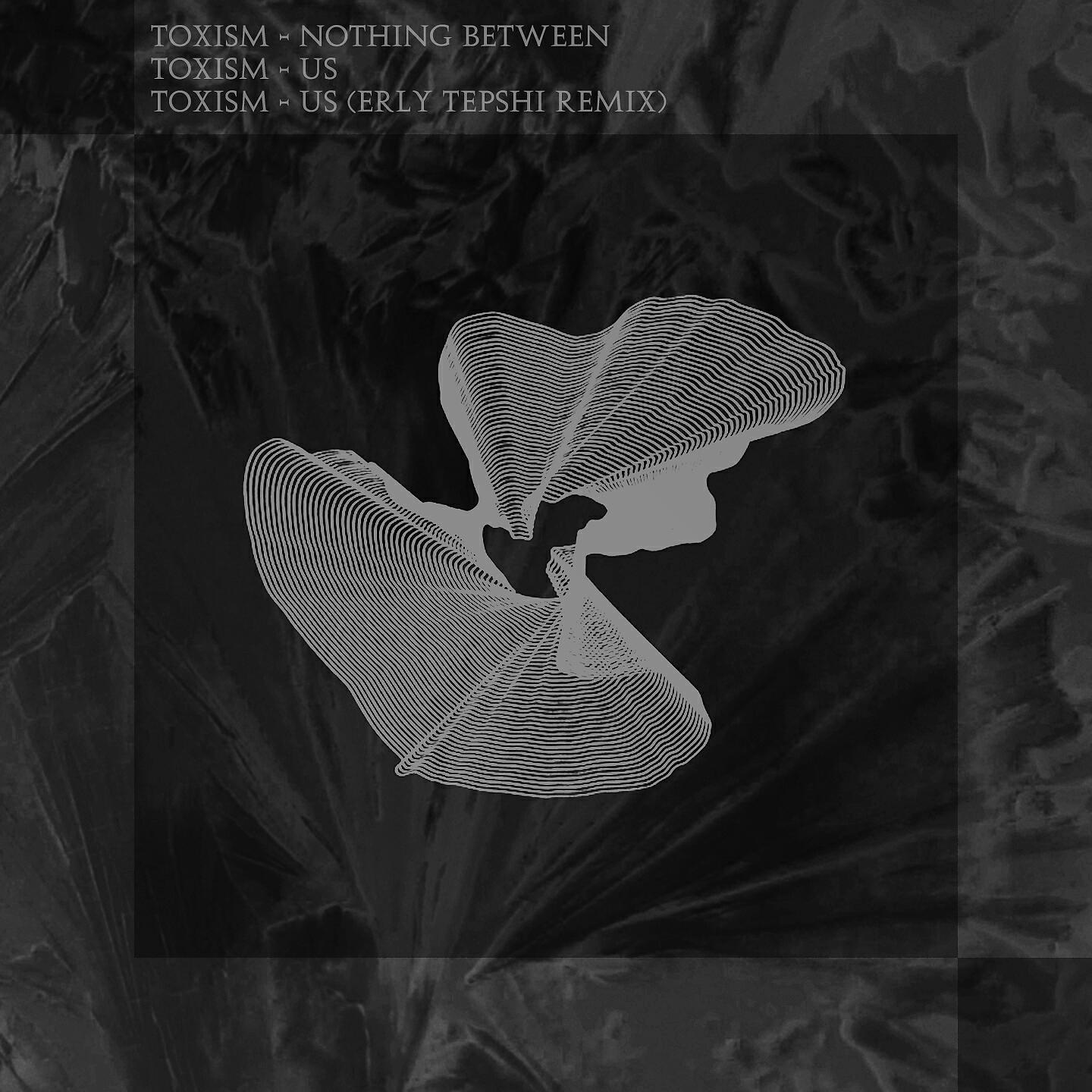 Toxism - Us (Erly Tepshi Remix)