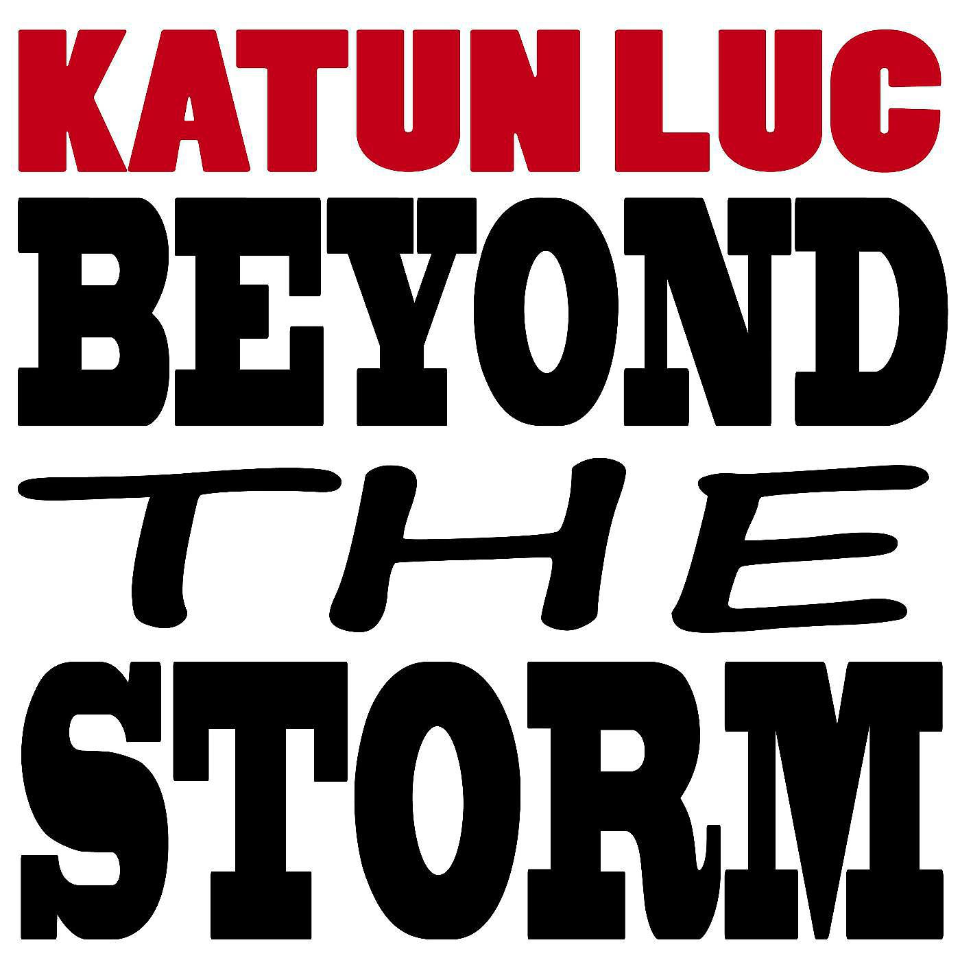 Постер альбома Beyond the Storm