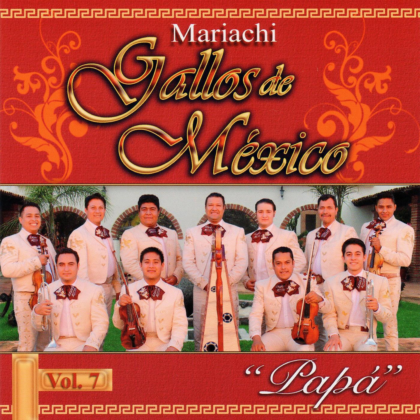 Mariachi Gallos De Mexico - Somos El Mariachi