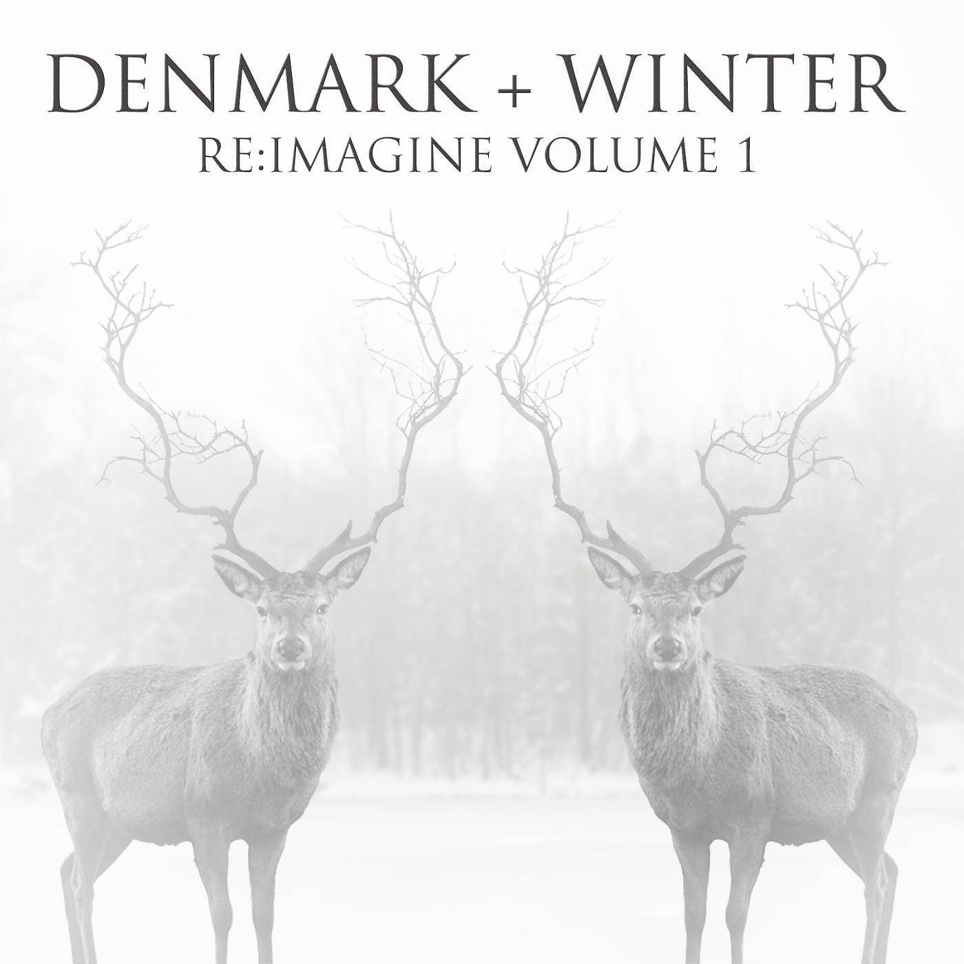 Denmark + Winter - Wild World