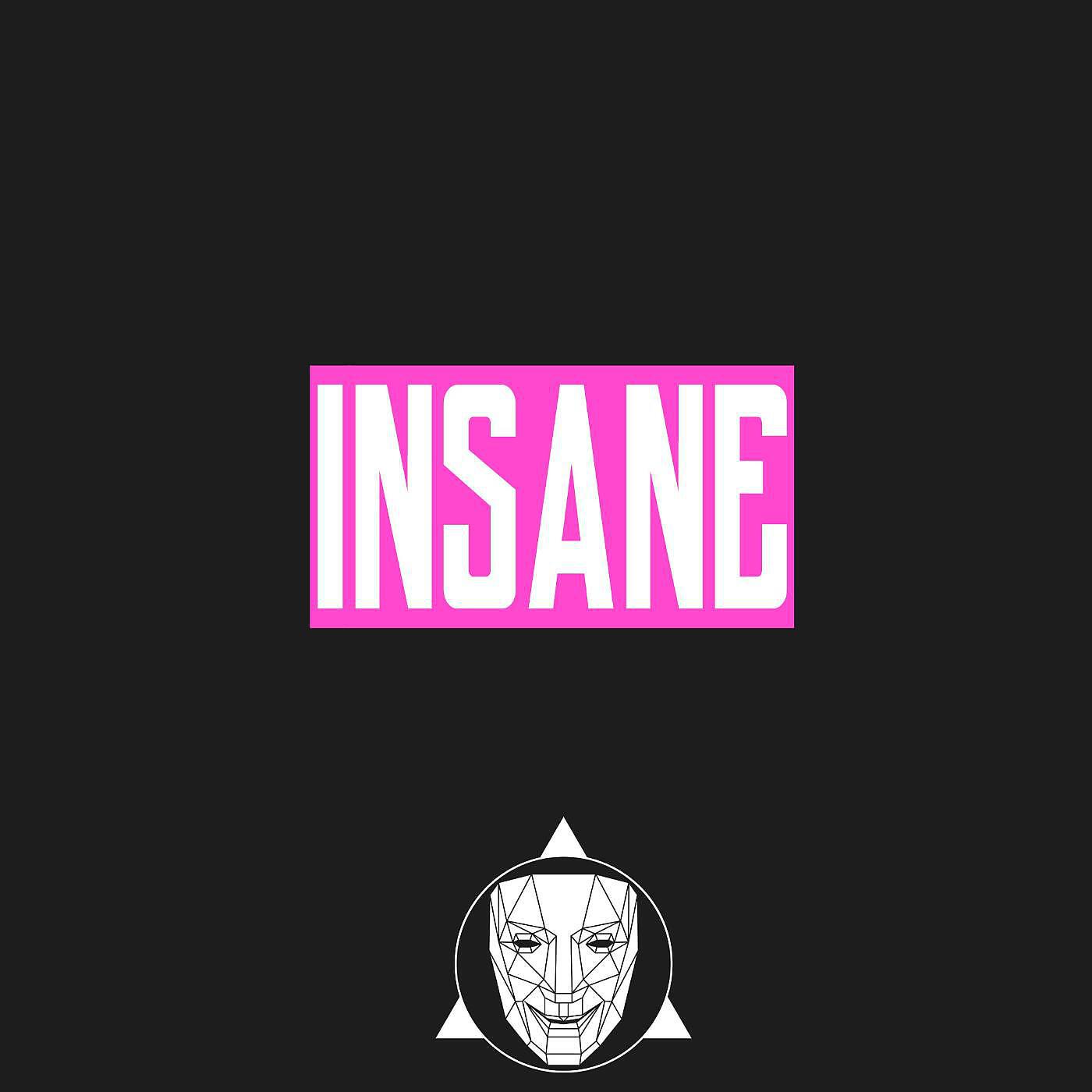 DJ Inappropriate - Insane