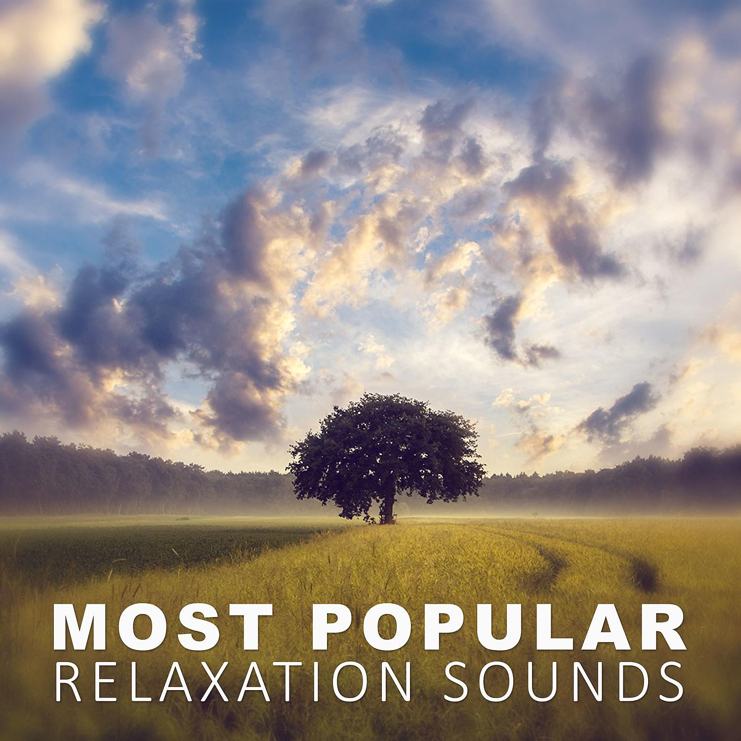 Постер альбома Most Popular Relaxation Sounds – Best Relaxation Sounds with Water & Nature Sounds