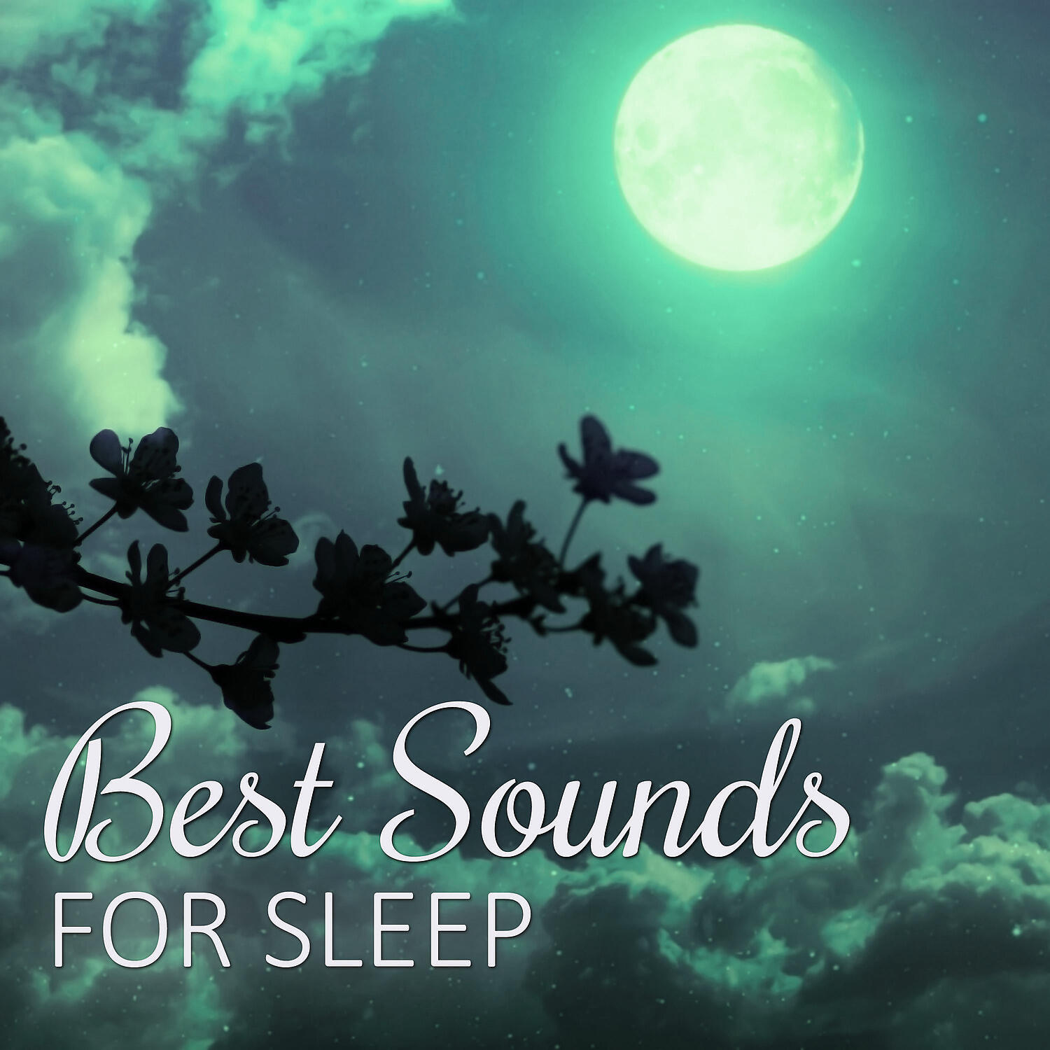 Sleepy Music Zone - Calm Ocean