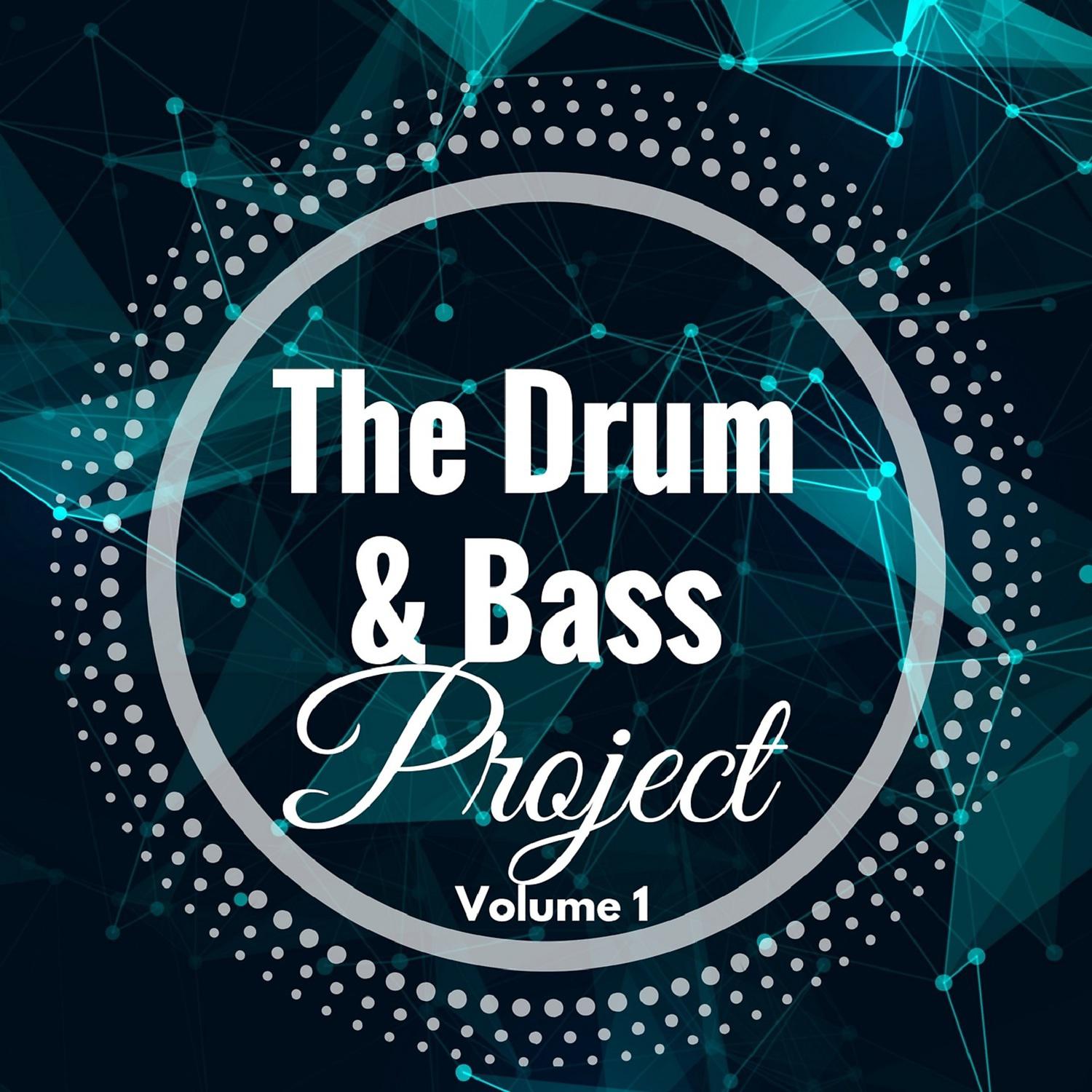 Постер альбома The Drum and Bass Project - Volume 1