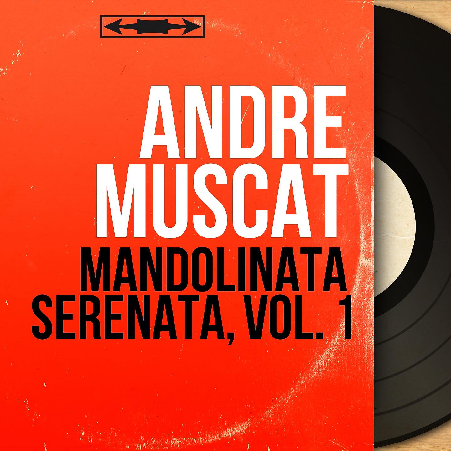 Постер альбома Mandolinata serenata, vol. 1