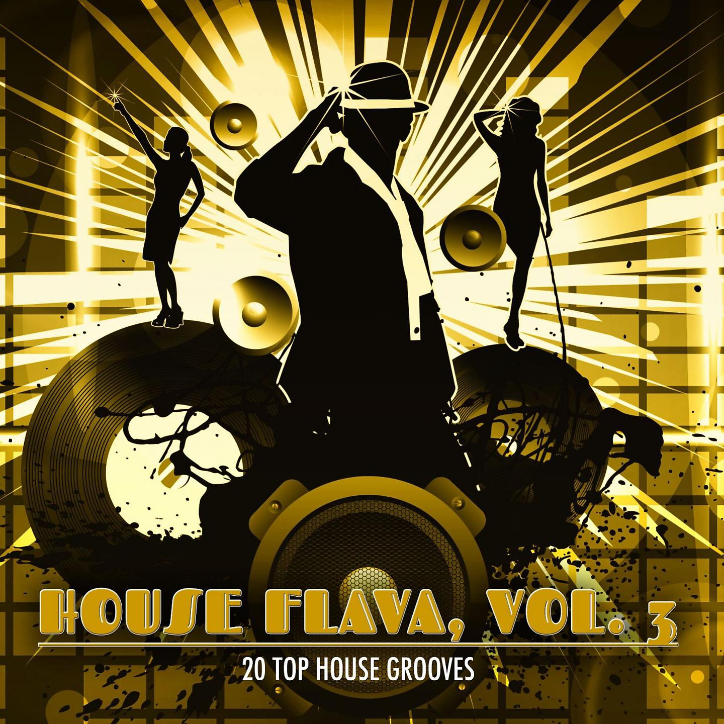 Постер альбома House Flava, Vol. 3