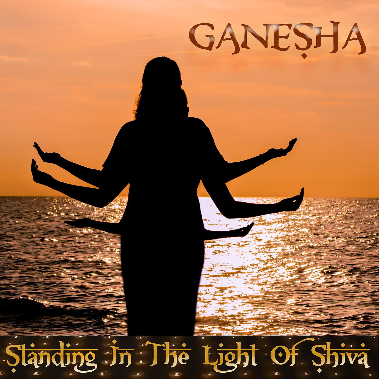 Постер альбома Standing In The Light Of Shiva
