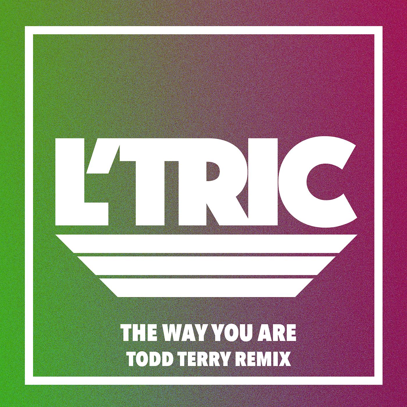 Постер альбома The Way You Are (Todd Terry Remix)