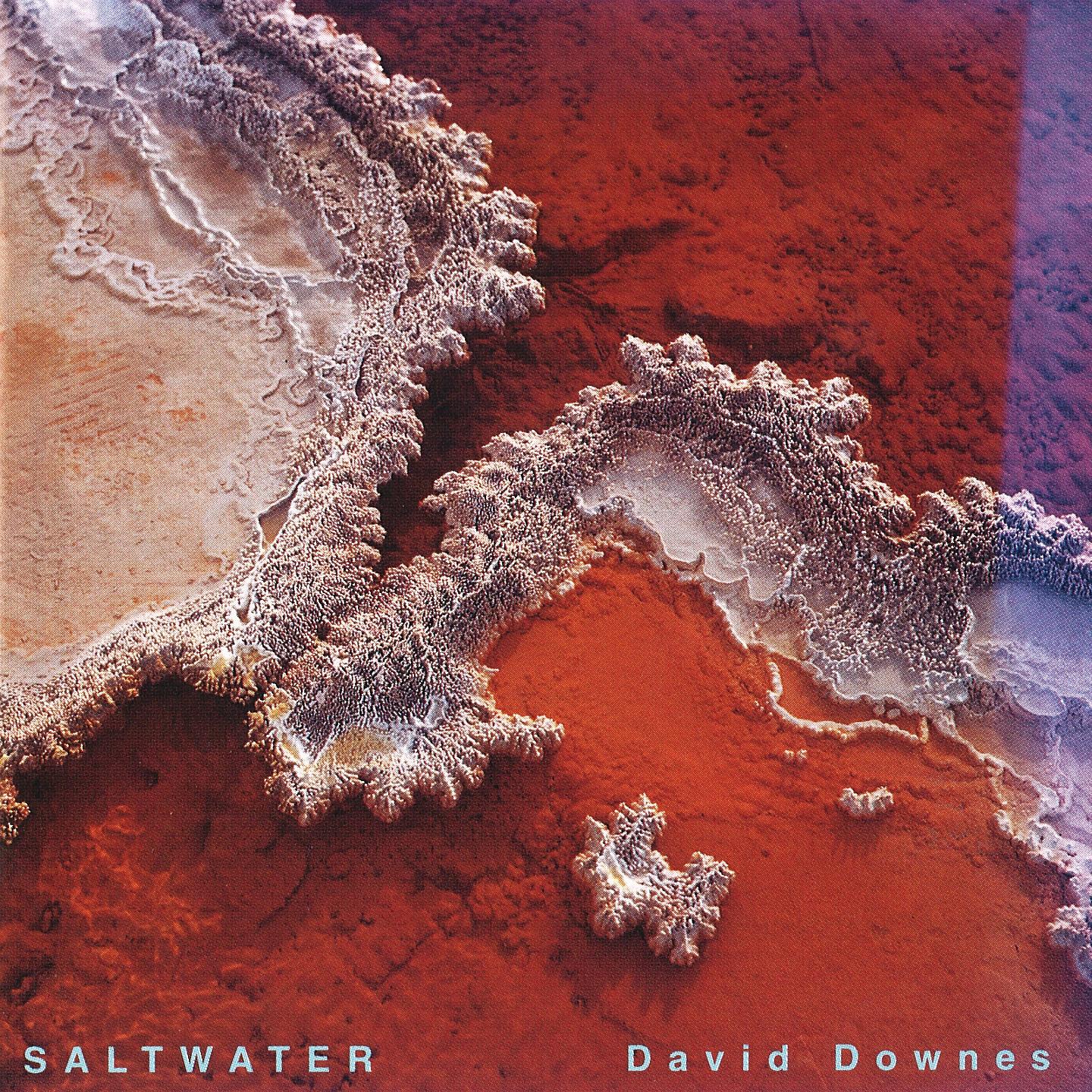 David Downes - Disquiet