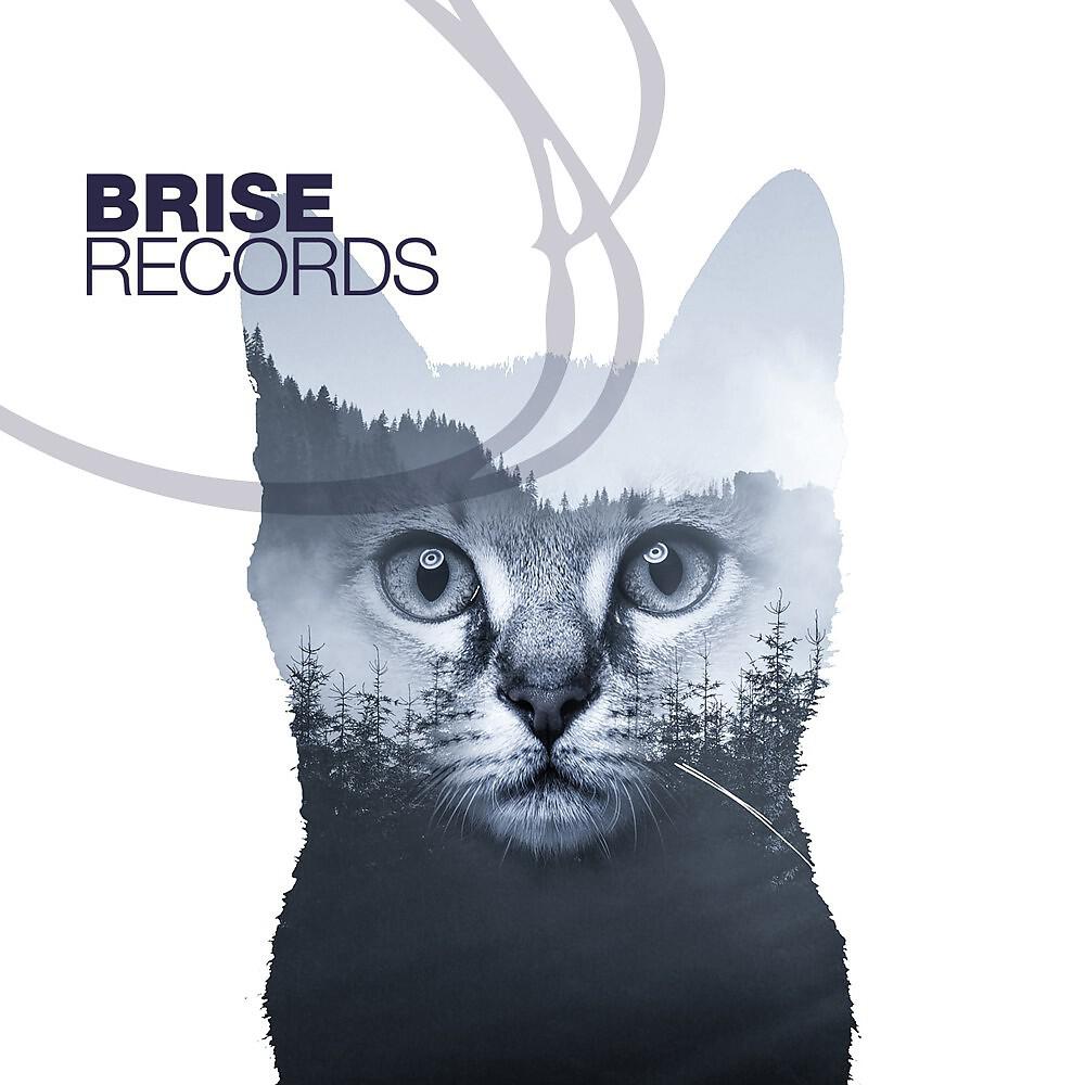Marco Riemann & Patrick Testor - Boss Knows Why (Original Mix)